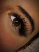 6D Clover Lash Extensions – 16 Rows, Single Length Volume