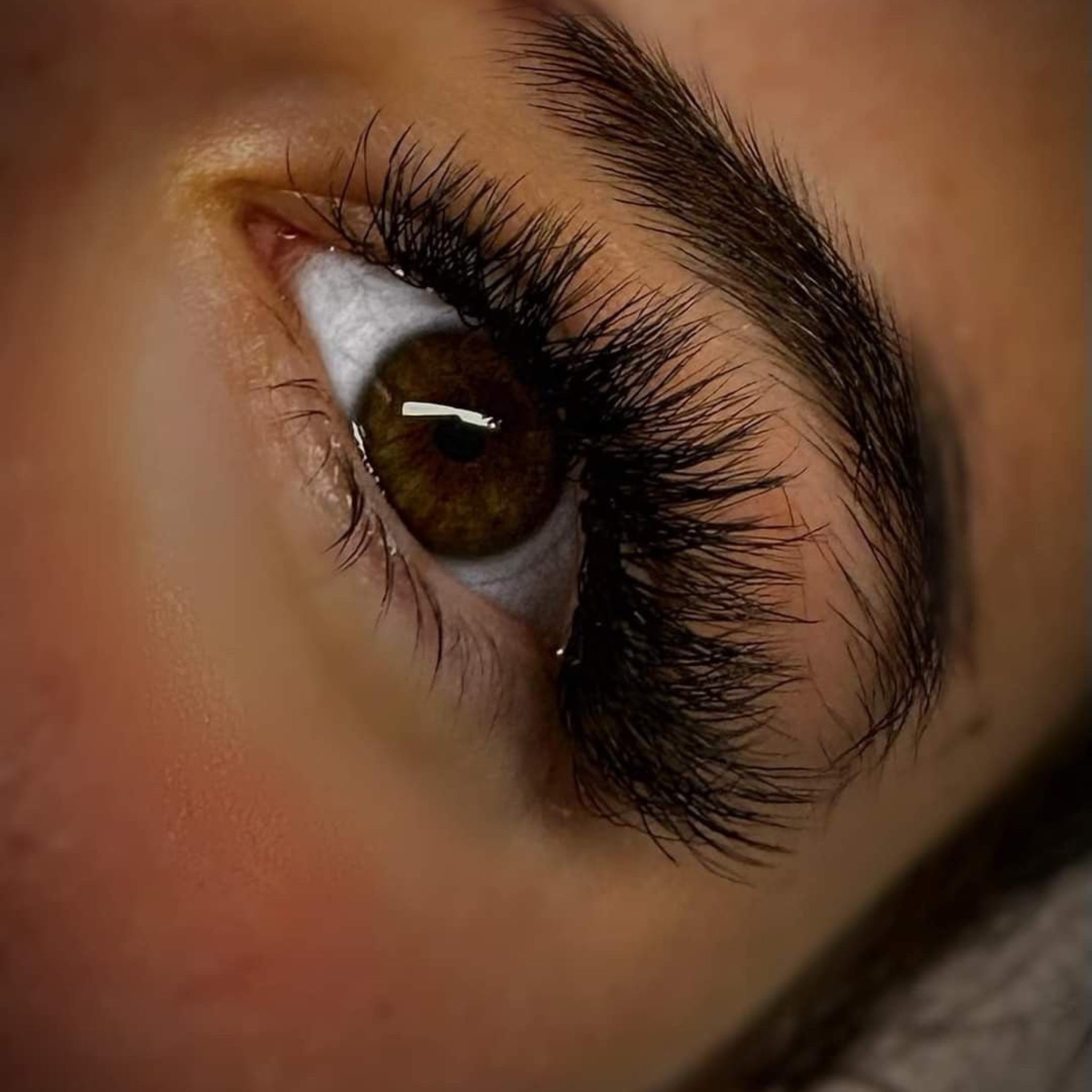 Completed Ladybug Lashes 6D Clover set on both eyes showing full black volume and curl lift from front angle
