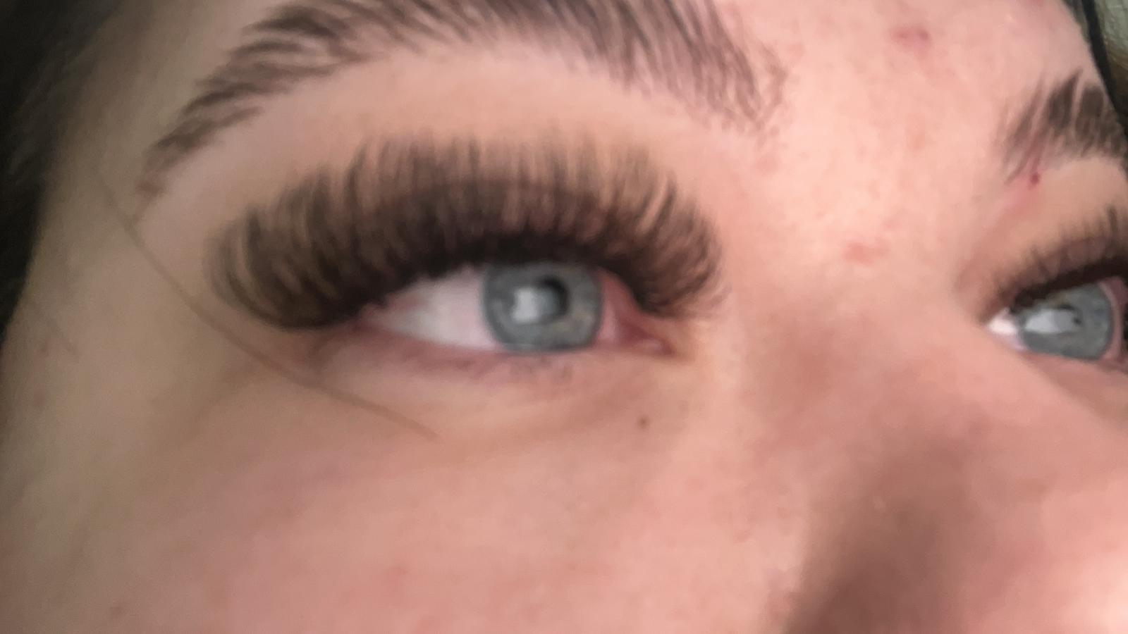 ladybuglashes lashglue lashtrays lashadhesive glueretention cloverlashes wlashes yylashes premades promades lashes