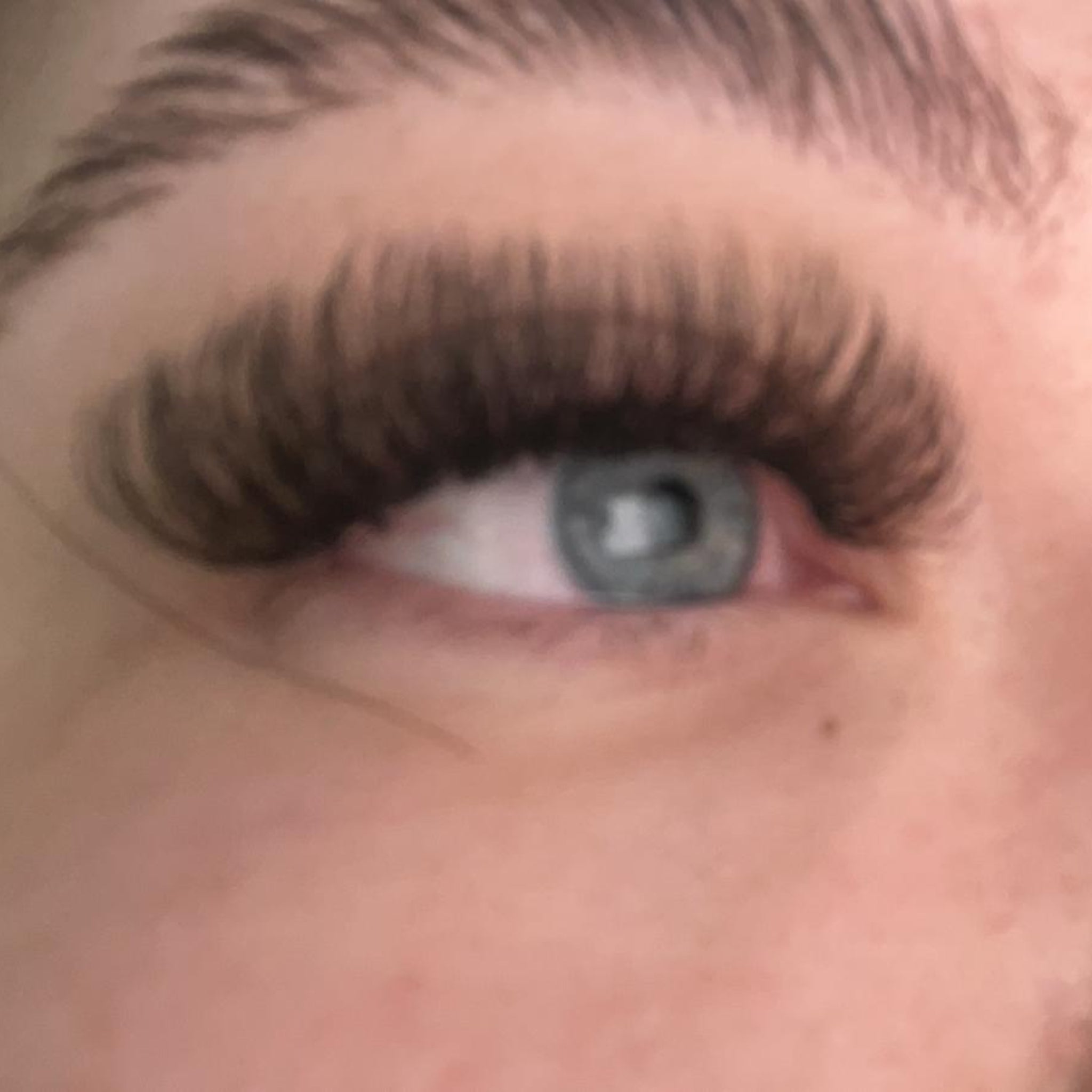 ladybuglashes lashglue lashtrays lashadhesive glueretention cloverlashes wlashes yylashes premades promades lashes
