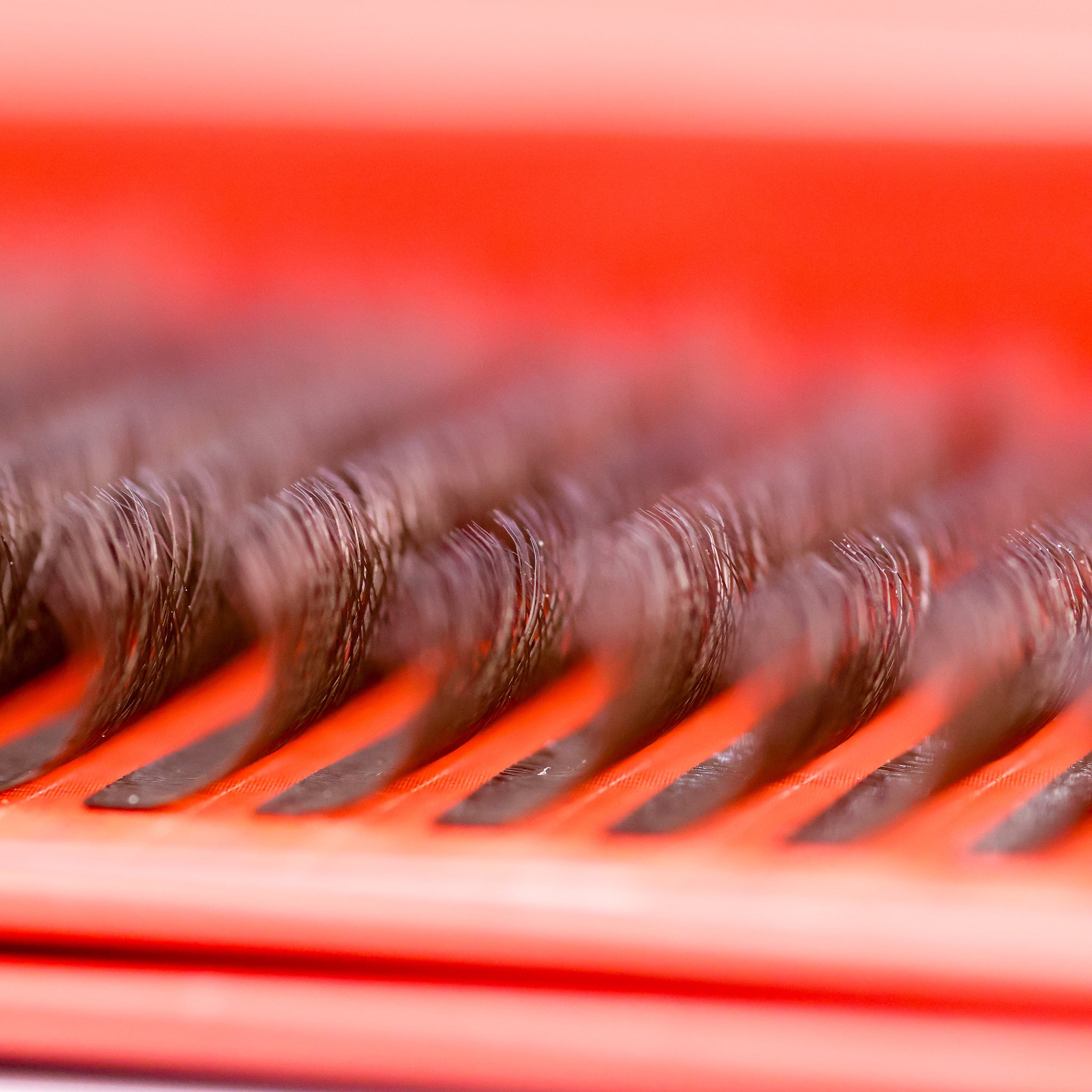 Brown 6D Clover  lash tray with neat rows of pre-made fans on red Ladybug Lashes strip ready for professional volume application