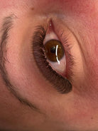 6d clover tray brown