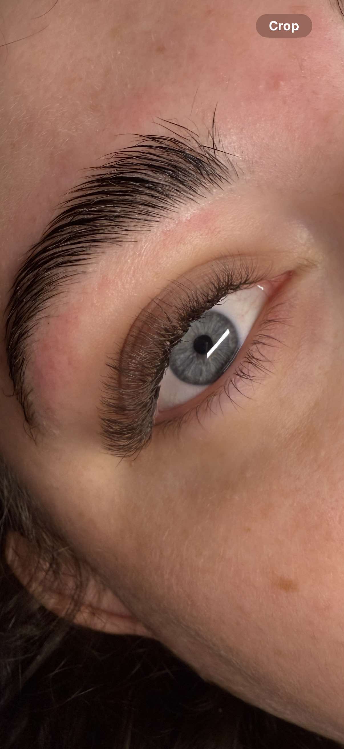 ladybuglashes lashglue lashtrays lashadhesive glueretention cloverlashes wlashes yylashes premades promades lashes