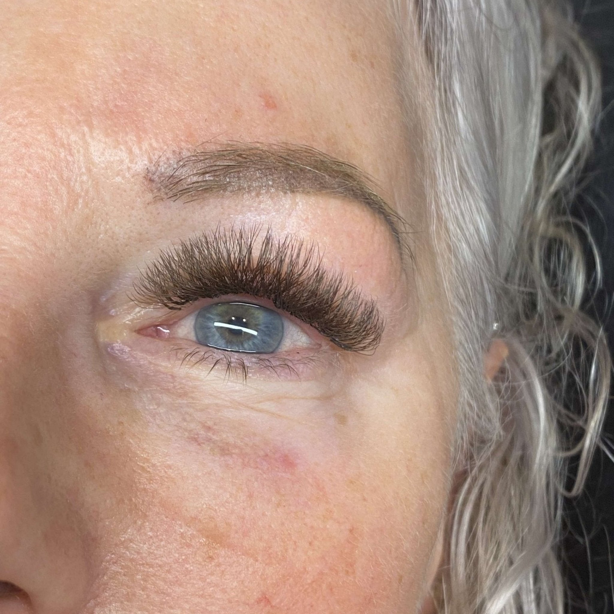 ladybuglashes lashglue lashtrays lashadhesive glueretention cloverlashes wlashes yylashes premades promades lashes