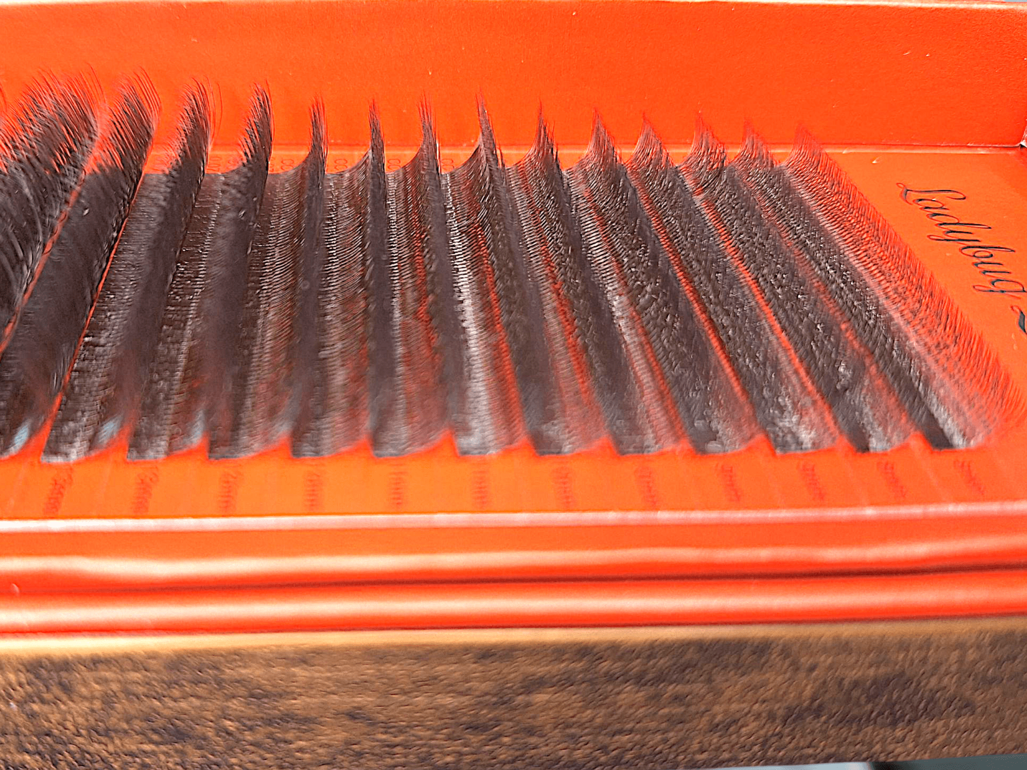 ladybuglashes lashglue lashtrays lashadhesive glueretention cloverlashes wlashes yylashes premades promades lashes