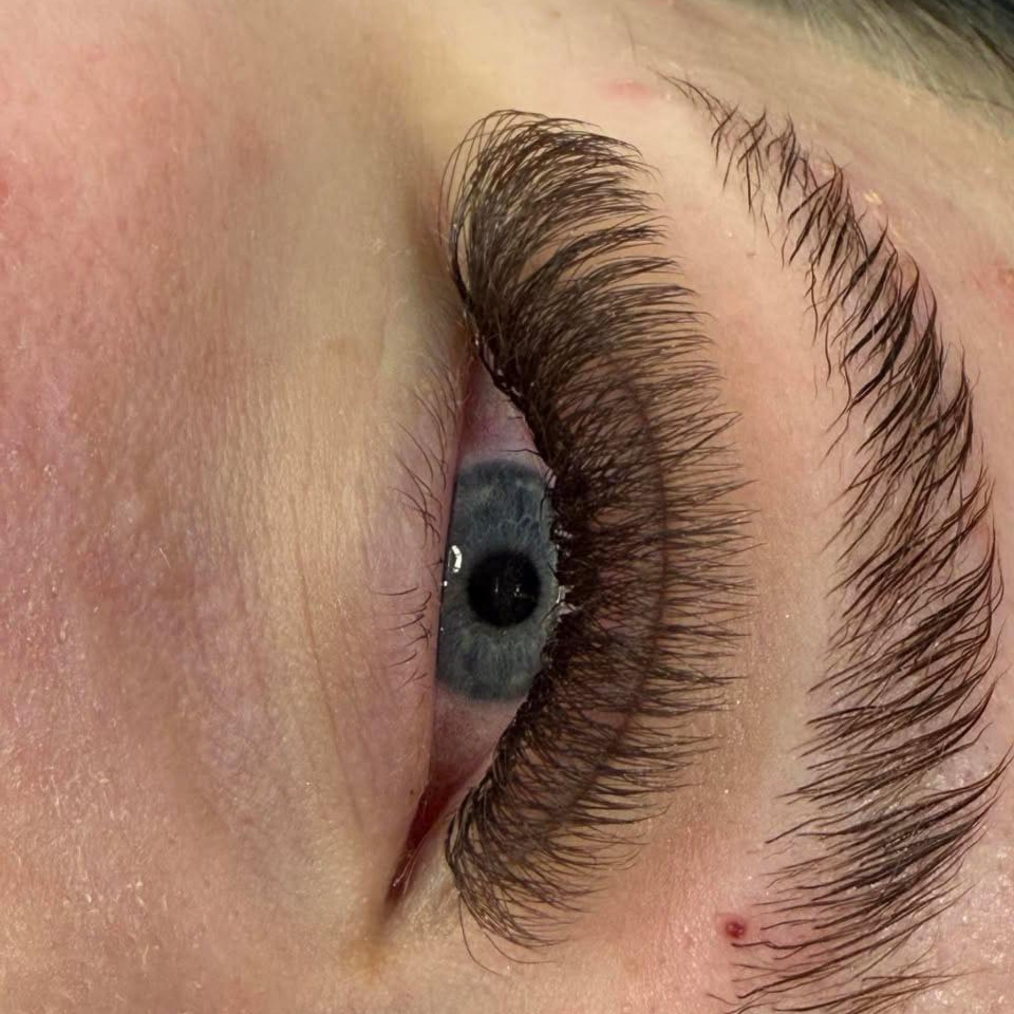 ladybuglashes lashglue lashtrays lashadhesive glueretention cloverlashes wlashes yylashes premades promades lashes