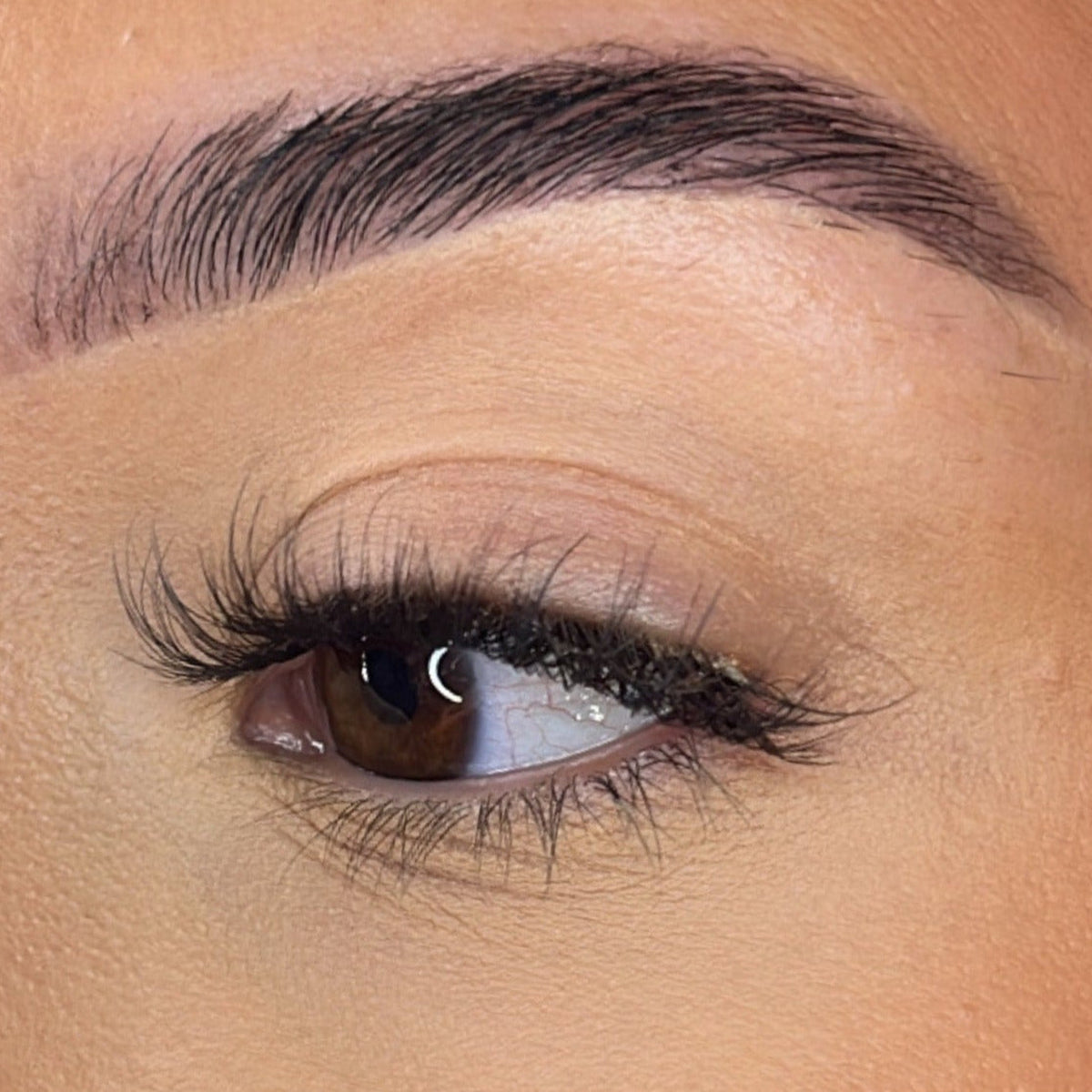 Lash Ribbons Ava Pre-Glued DIY Lash Clusters – product image 6