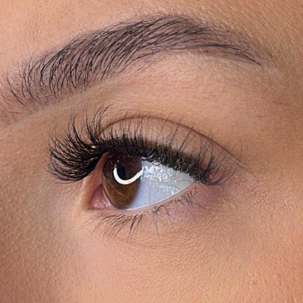 Lash Ribbons Bre Pre-Glued Lash Clusters – product image 4
