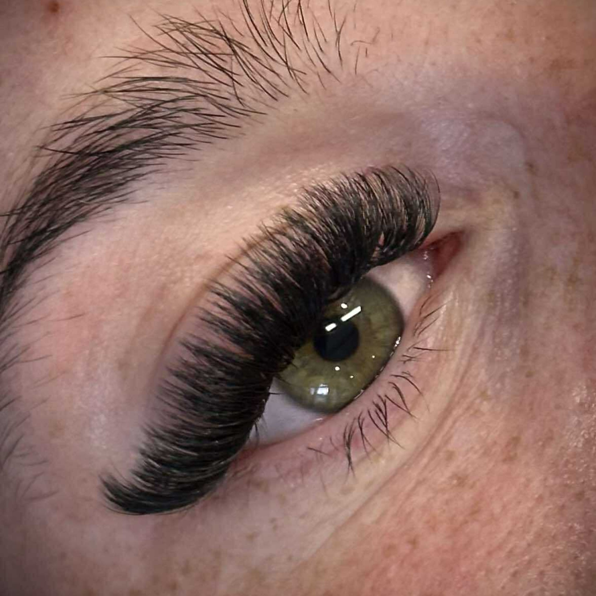 ladybuglashes lashglue lashtrays lashadhesive glueretention cloverlashes wlashes yylashes premades promades lashes