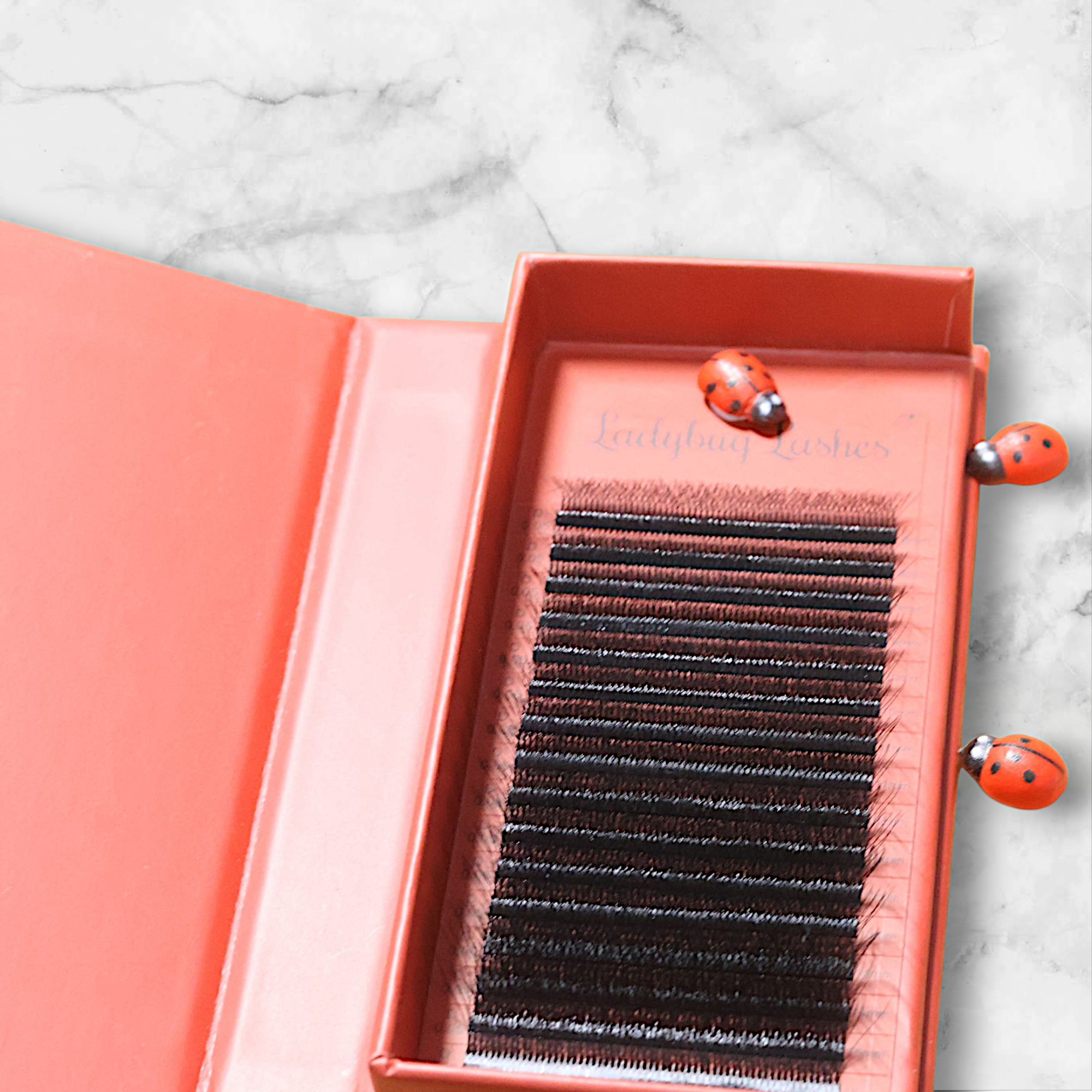 8d clover lash tray uk company