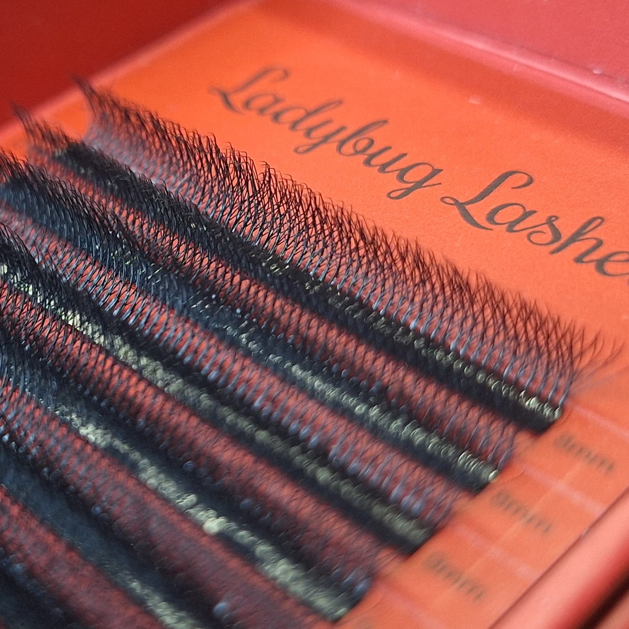8D Clover Lashes 16 row mixed tray