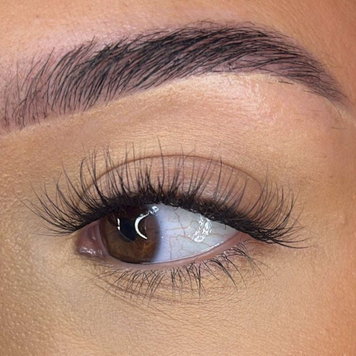 Lash Ribbons Pre-Glued Lash Clusters - Faff Lash - Mia – product image 4