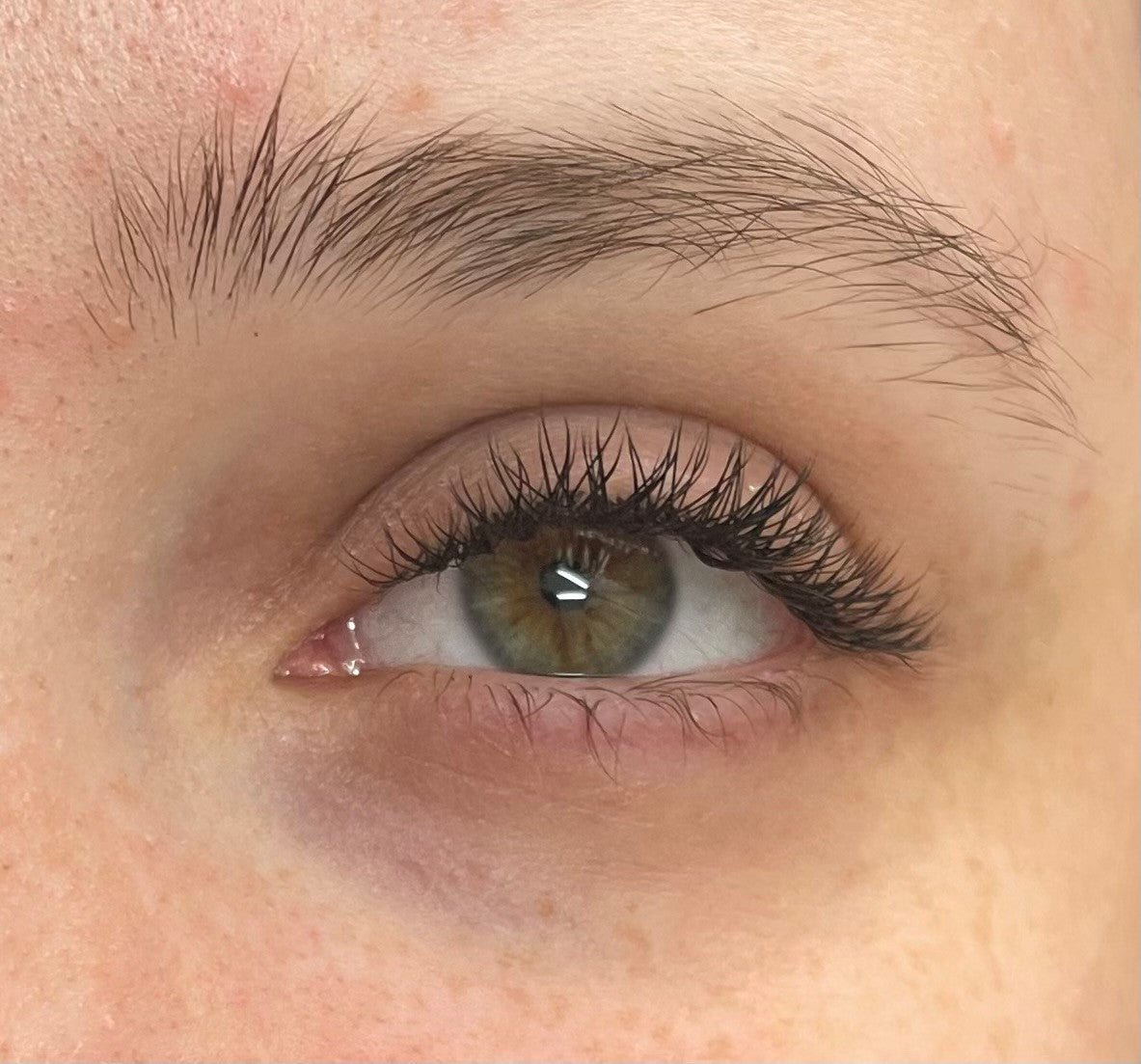 ladybuglashes lashglue lashtrays lashadhesive glueretention cloverlashes wlashes yylashes premades promades lashes