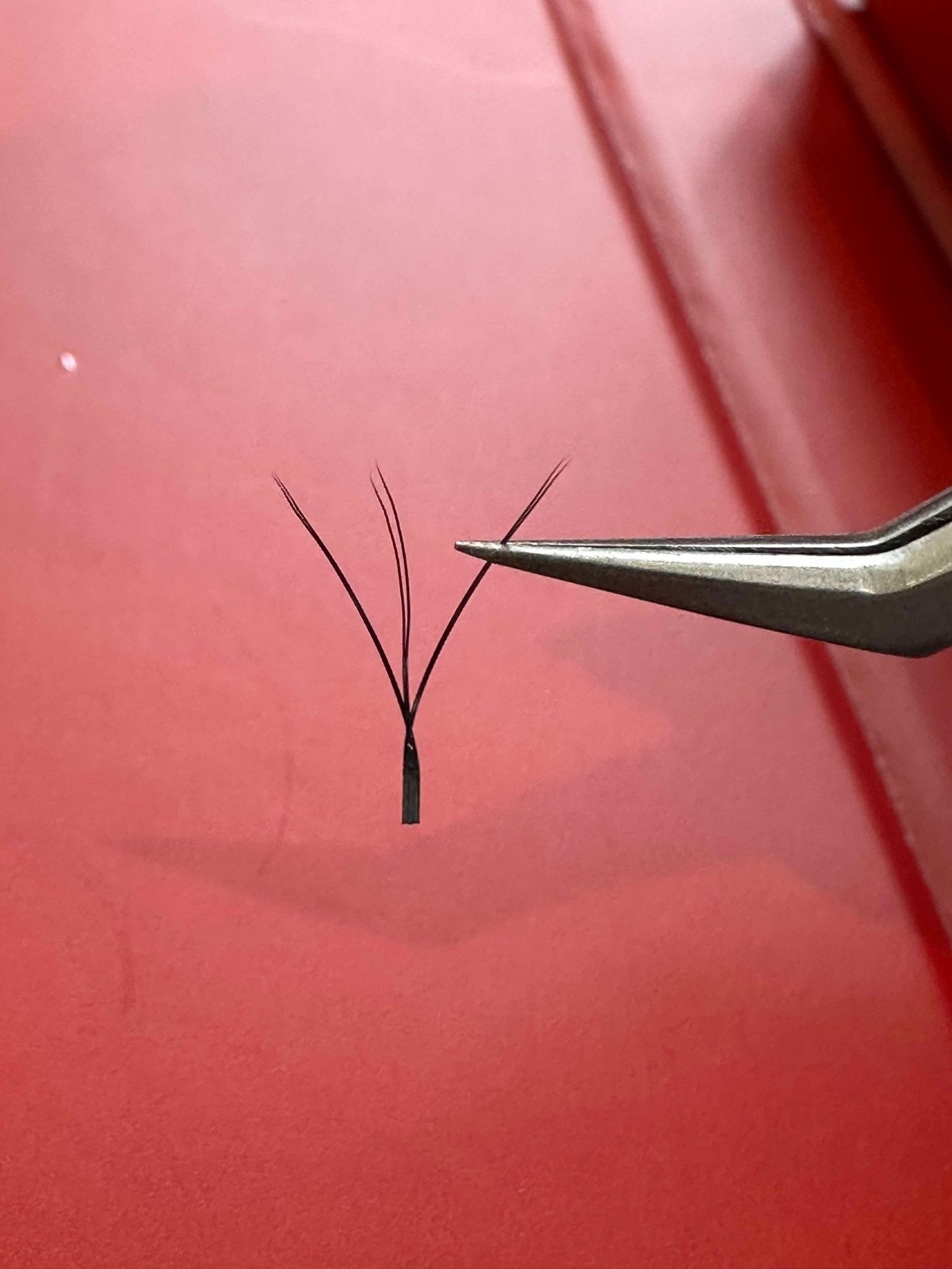 Ladybug Lashes W Lashes Mixed Tray 16 Rows