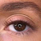 Lash Ribbons Aine Intense Brown DIY Lash Clusters – product image 2