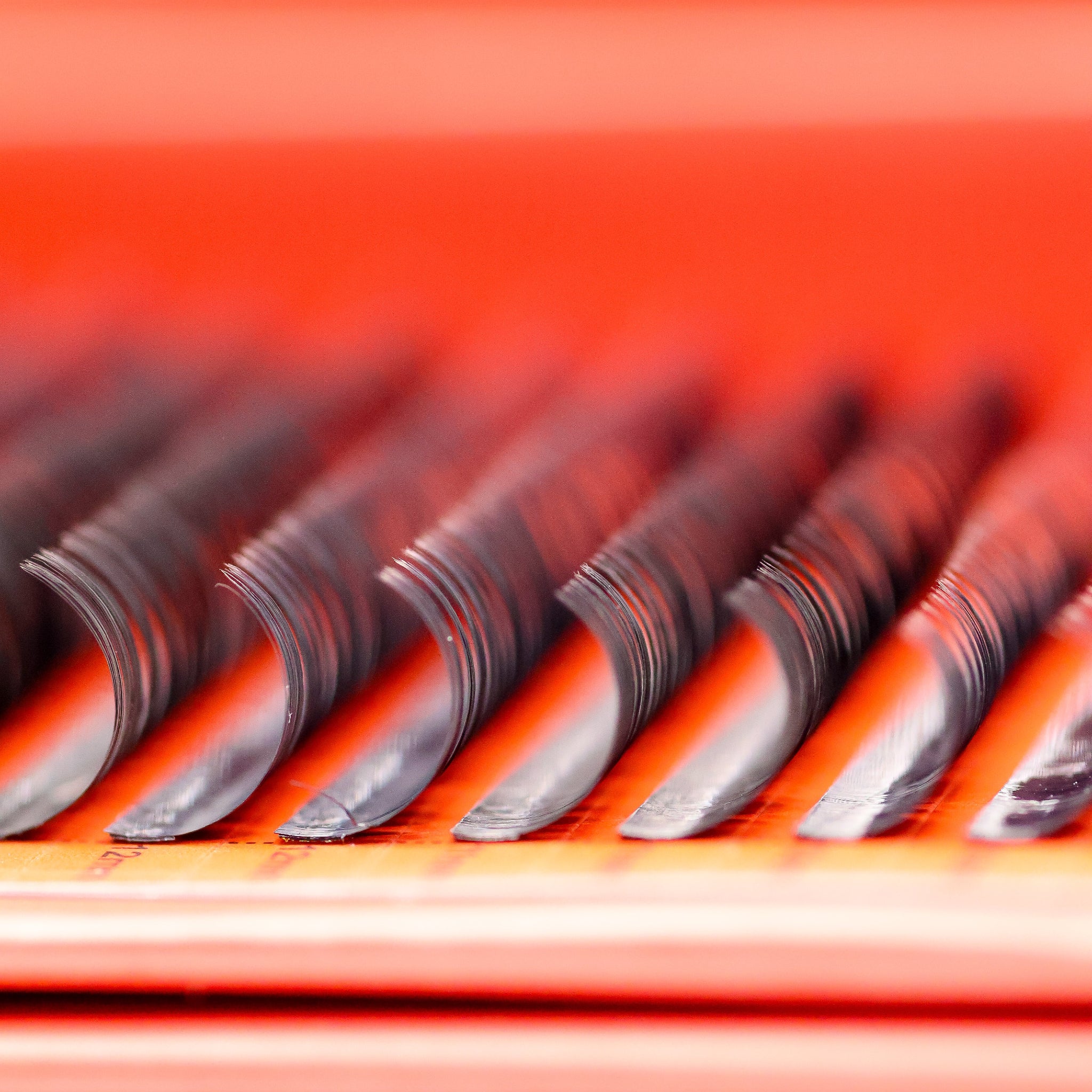 Side-angle macro close-up of wet look lash extensions on red Ladybug Lashes tray showing dramatic glossy spike tips and curved base detail
