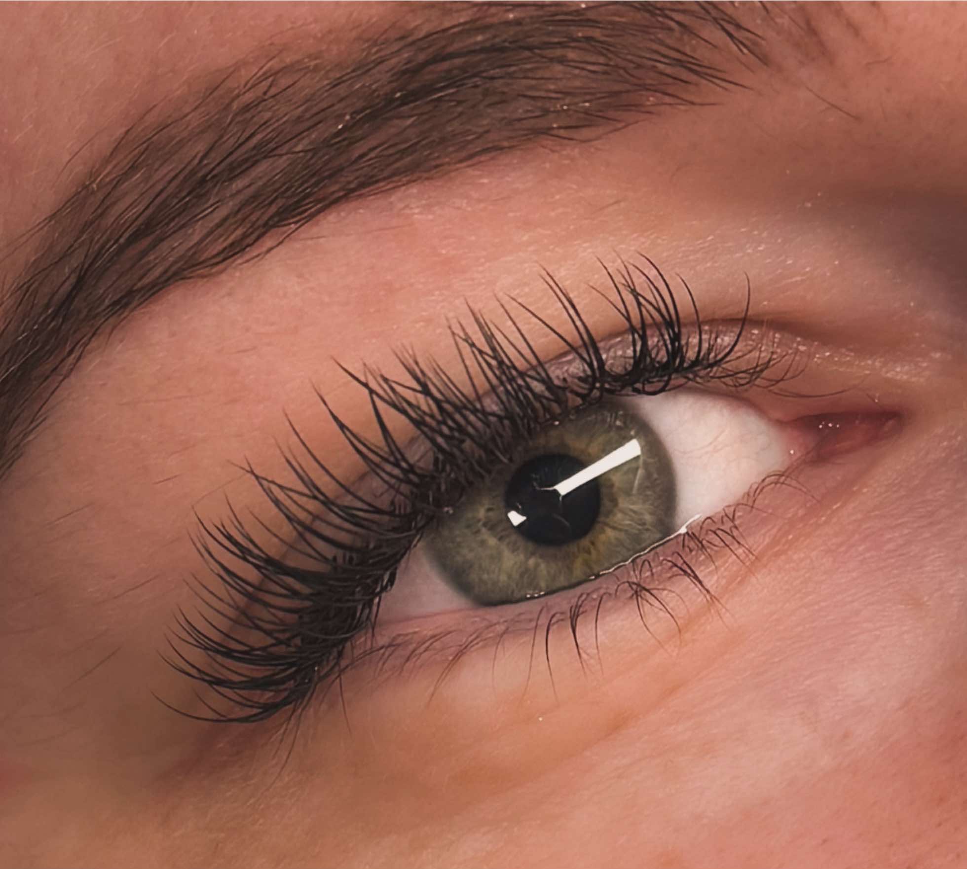 ladybuglashes lashglue lashtrays lashadhesive glueretention cloverlashes wlashes yylashes premades promades lashes