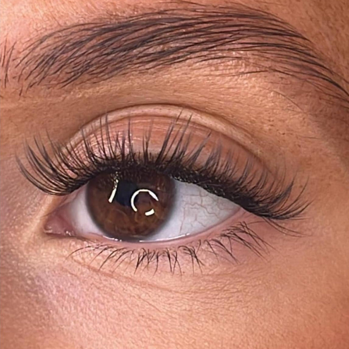 Lash Ribbons Brea - 'D' Curl – product image 3