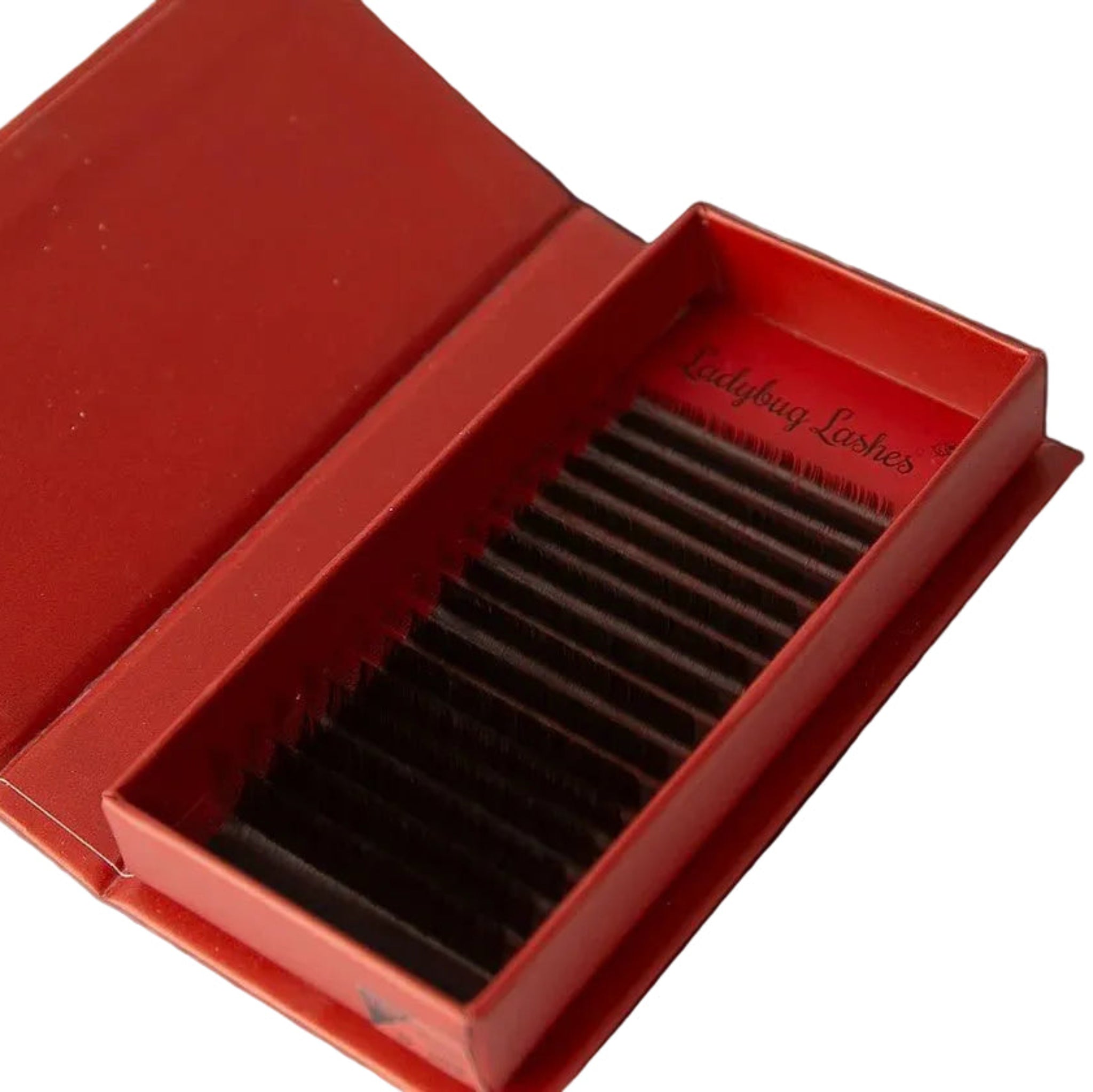 ladybuglashes lashglue lashtrays lashadhesive glueretention cloverlashes wlashes yylashes premades promades lashes