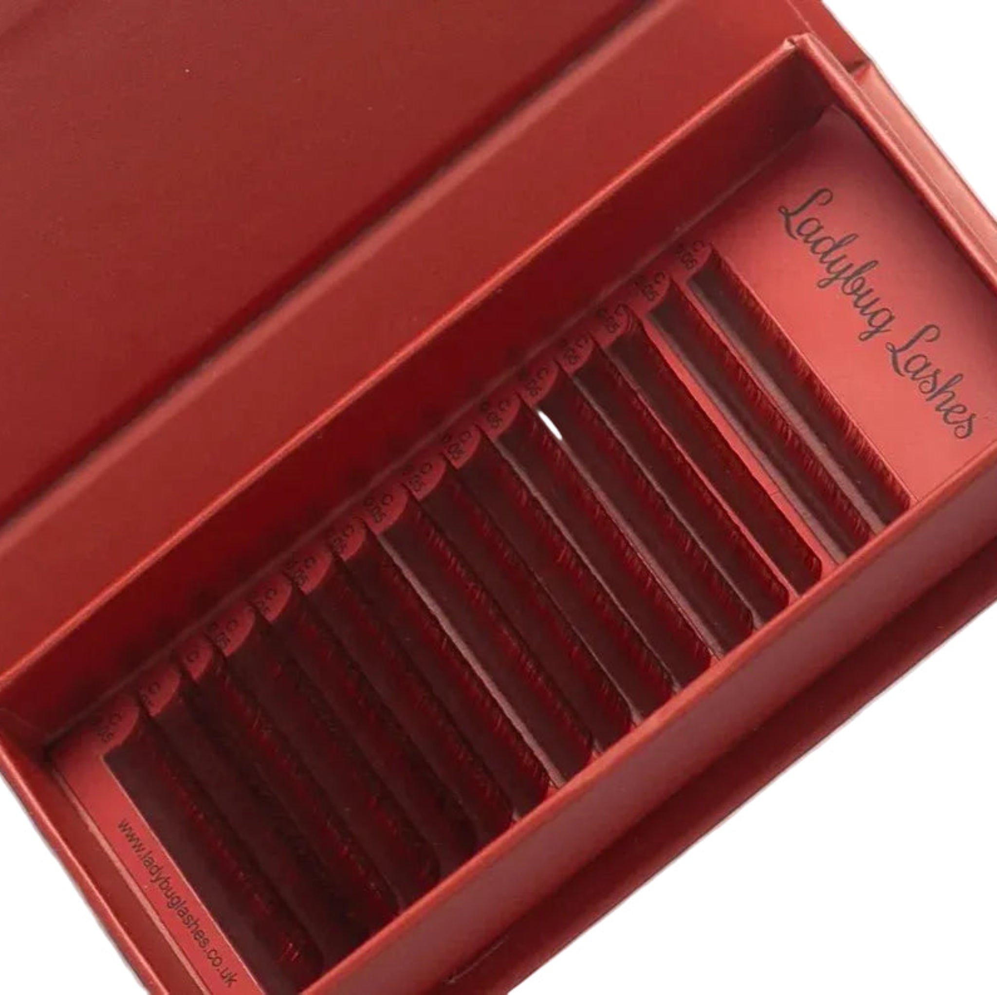 ladybuglashes lashglue lashtrays lashadhesive glueretention cloverlashes wlashes yylashes premades promades lashes