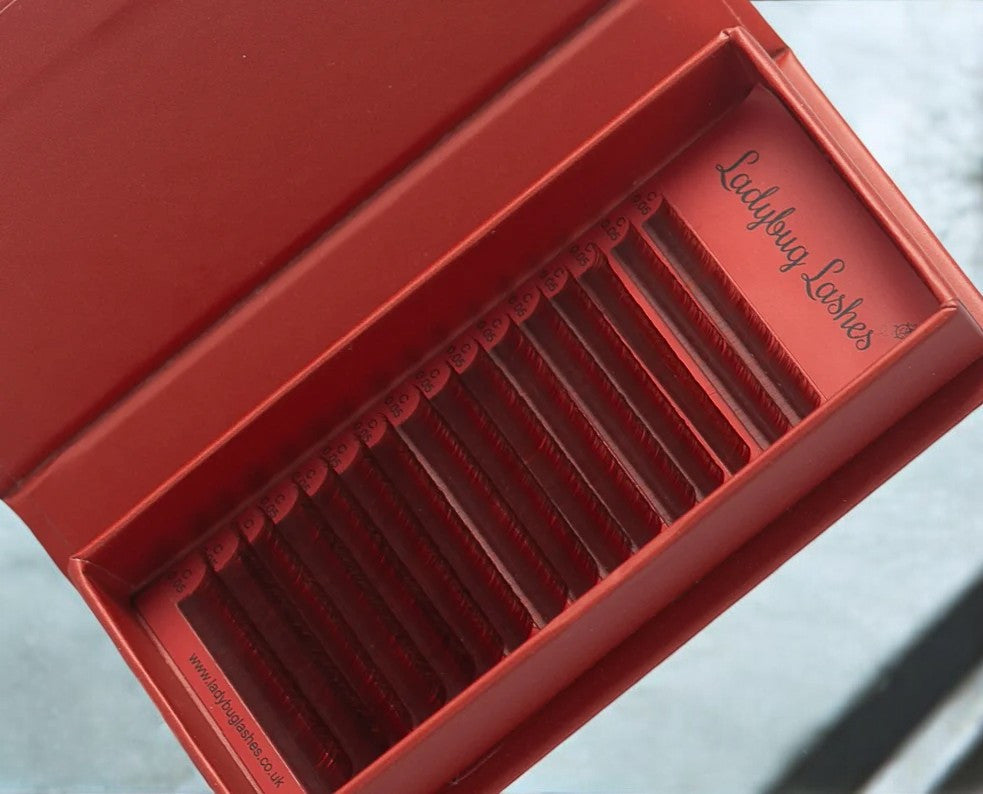 🤎Brown Easy Fans – 16 Row Mixed Tray🤎