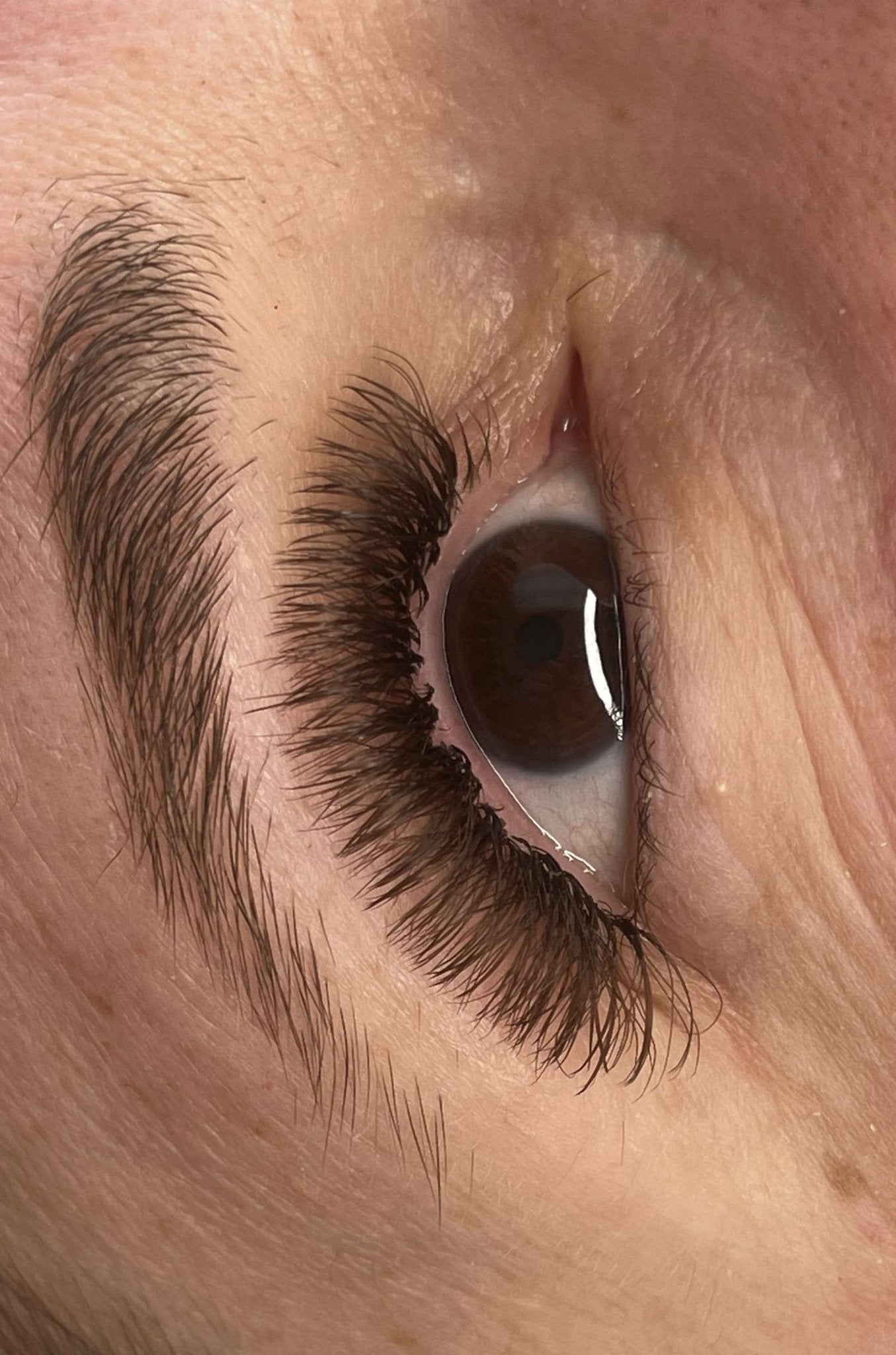 ladybuglashes lashglue lashtrays lashadhesive glueretention cloverlashes wlashes yylashes premades promades lashes