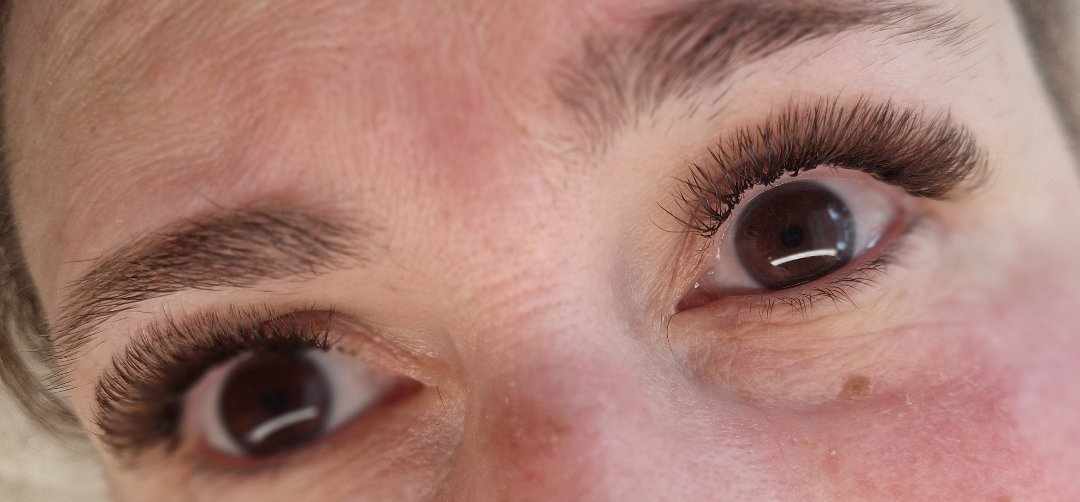 ladybuglashes lashglue lashtrays lashadhesive glueretention cloverlashes wlashes yylashes premades promades lashes