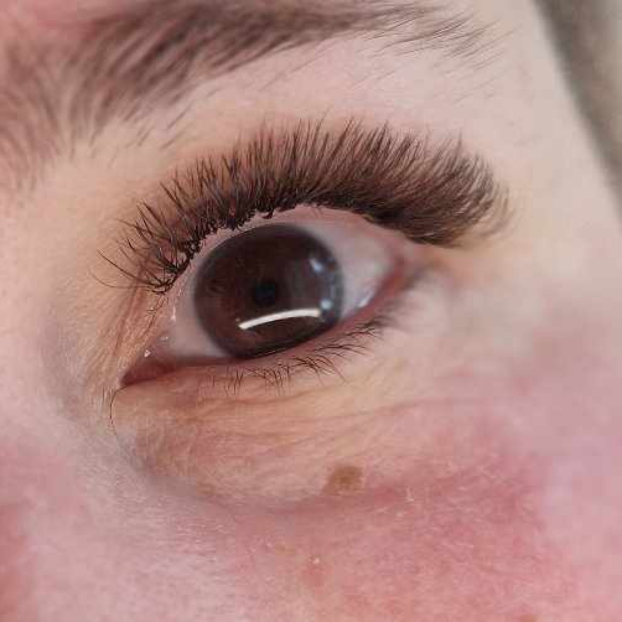 Close-up of completed brown Fairy lash extension set on dark brown eyes showing full dense volume and warm brown tone from front angle