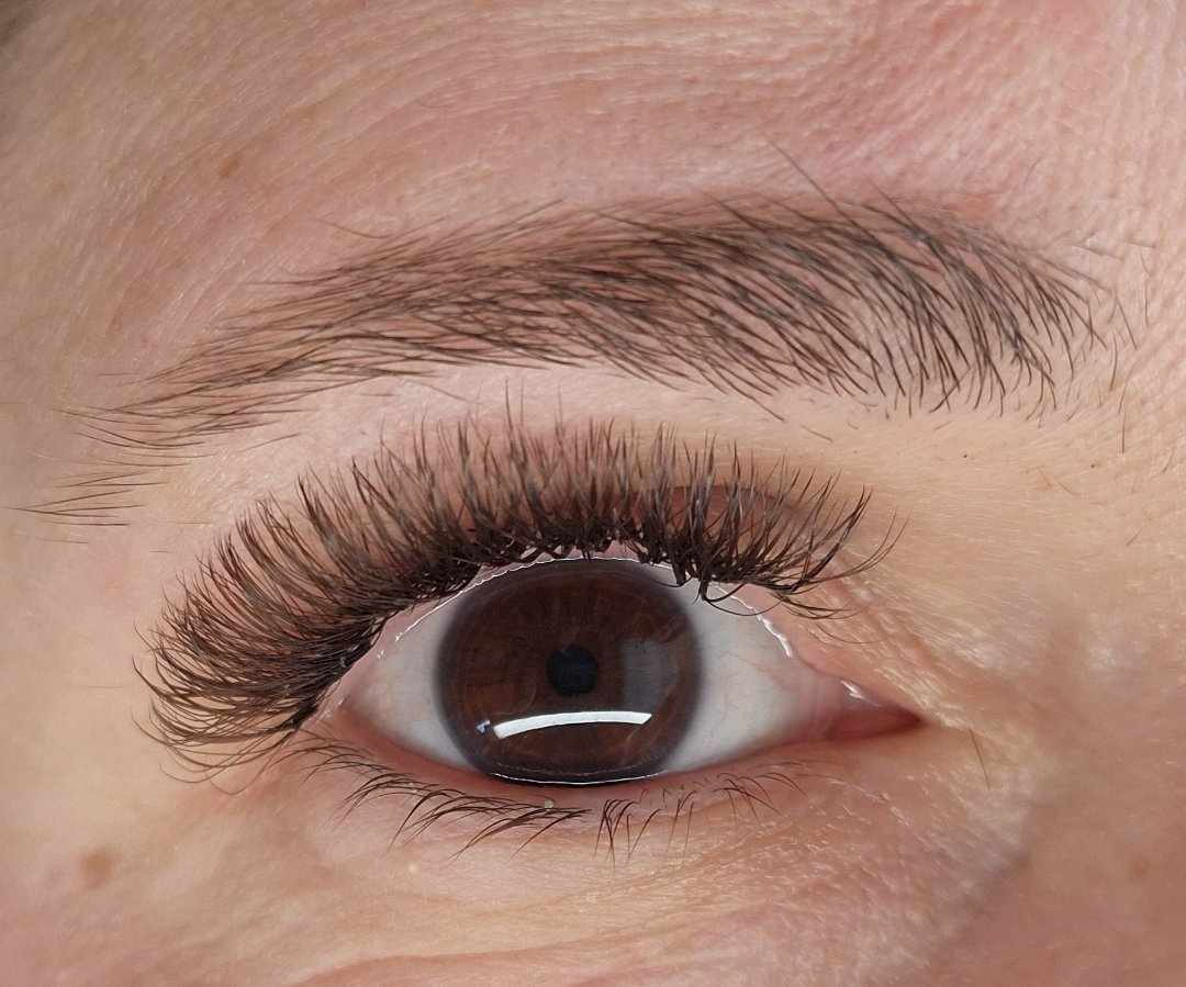 ladybuglashes lashglue lashtrays lashadhesive glueretention cloverlashes wlashes yylashes premades promades lashes