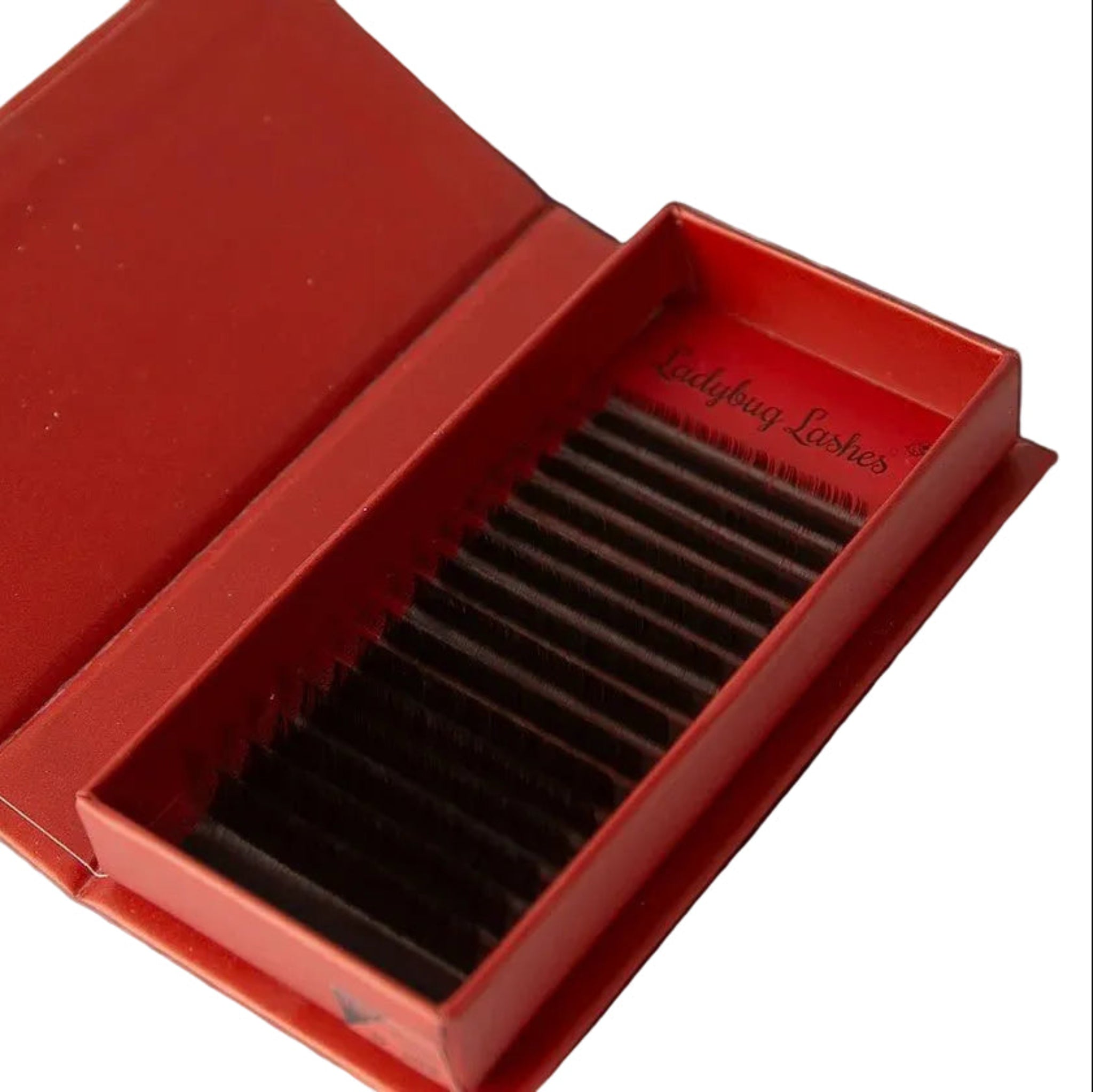 ladybuglashes lashglue lashtrays lashadhesive glueretention cloverlashes wlashes yylashes premades promades lashes