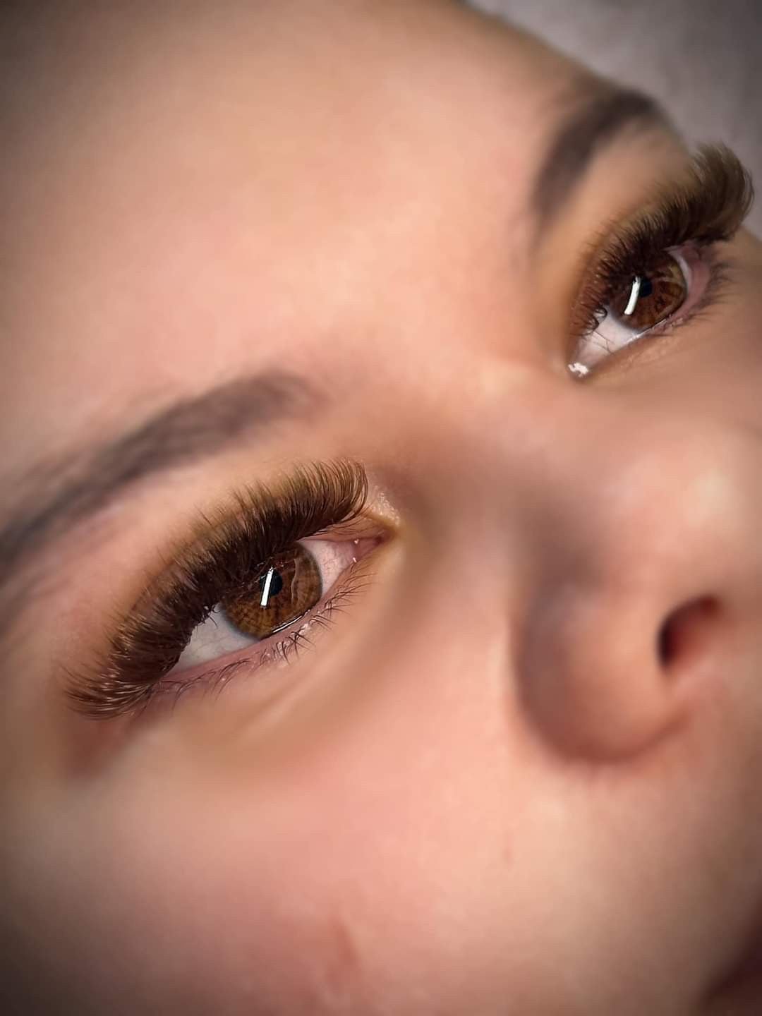 ladybuglashes lashglue lashtrays lashadhesive glueretention cloverlashes wlashes yylashes premades promades lashes