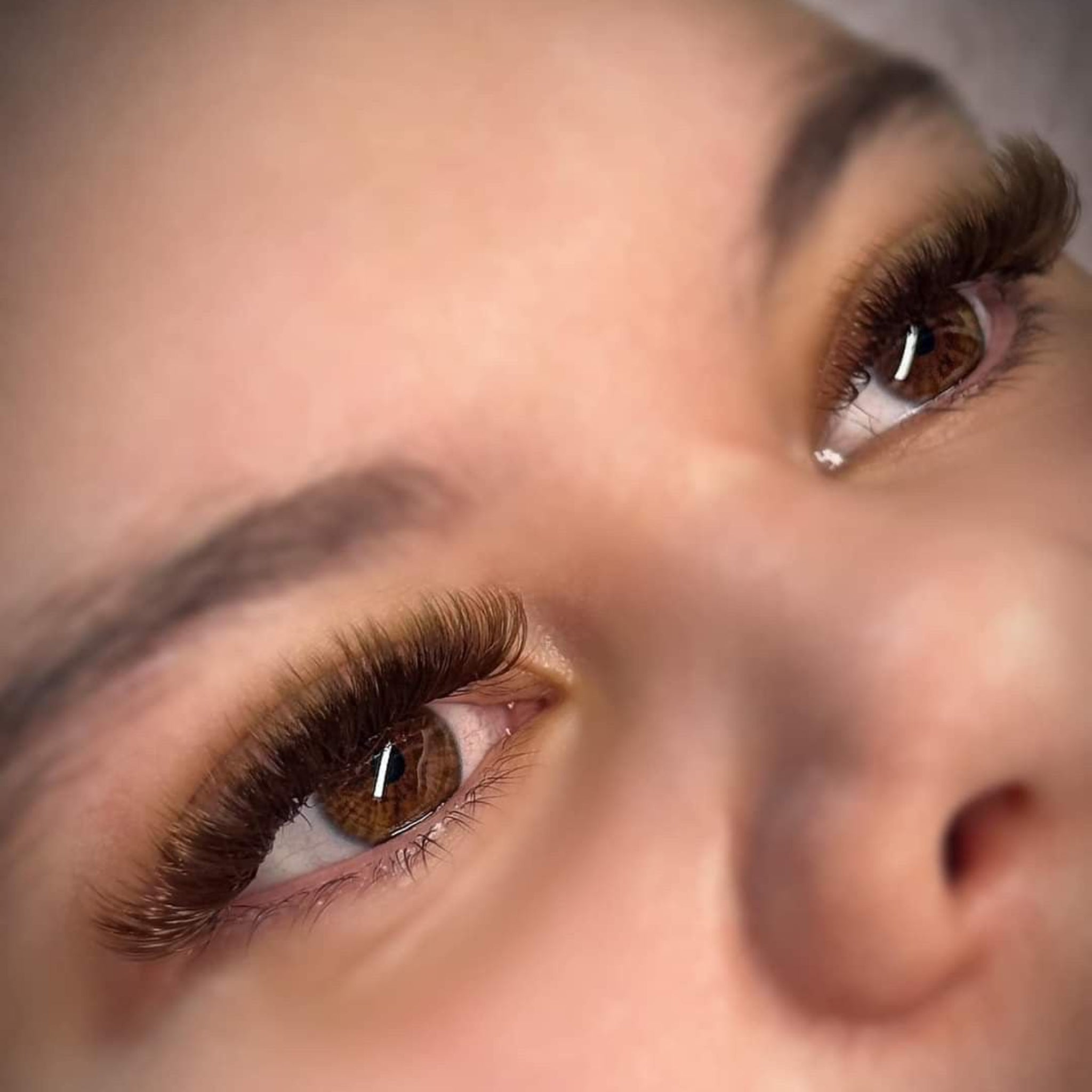 ladybuglashes lashglue lashtrays lashadhesive glueretention cloverlashes wlashes yylashes premades promades lashes