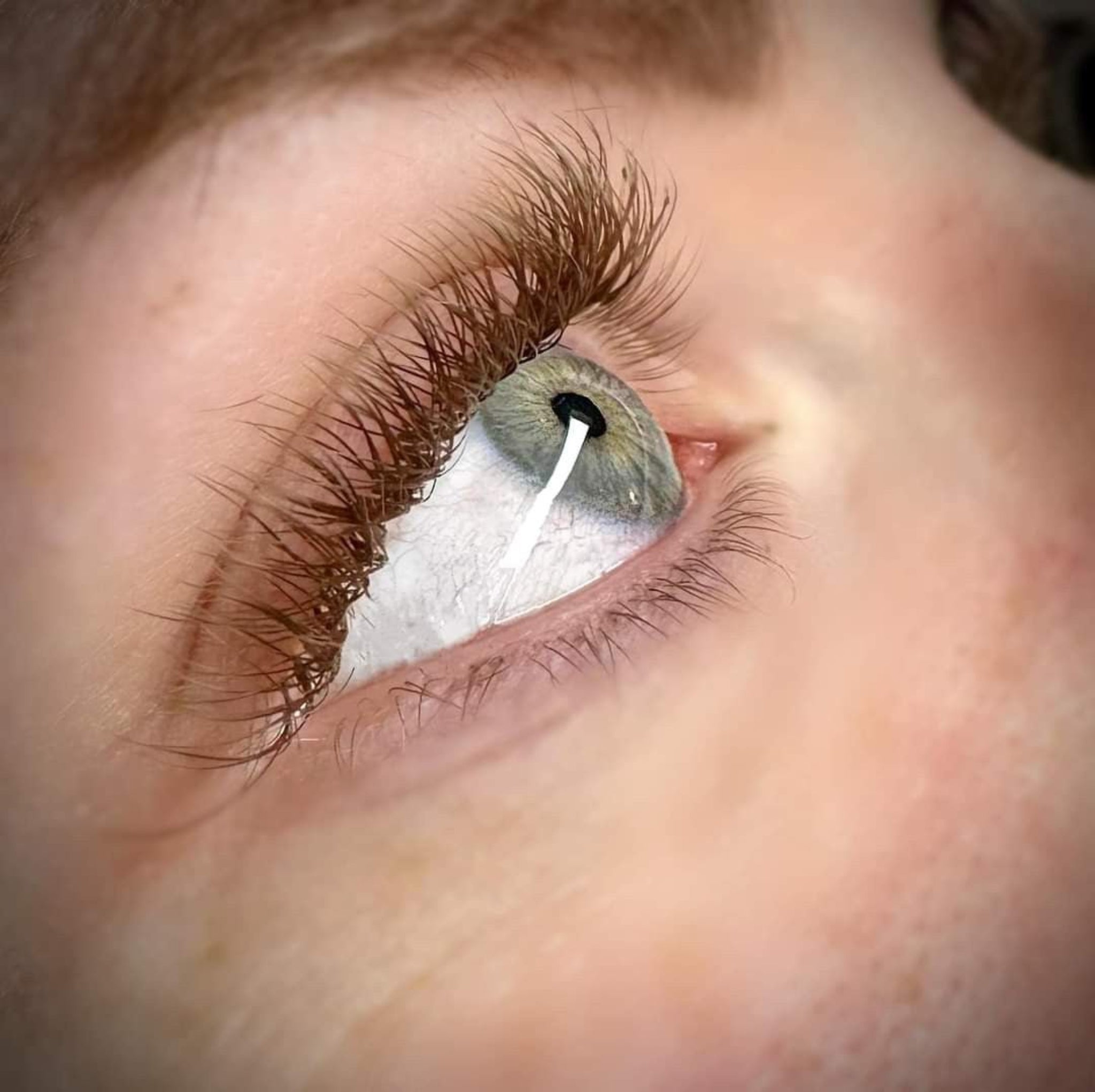 Completed Ladybug Lashes Brown YY Lash lash set showing length and separation from three-quarter angle