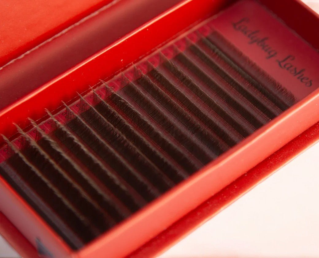 ladybuglashes lashglue lashtrays lashadhesive glueretention cloverlashes wlashes yylashes premades promades lashes