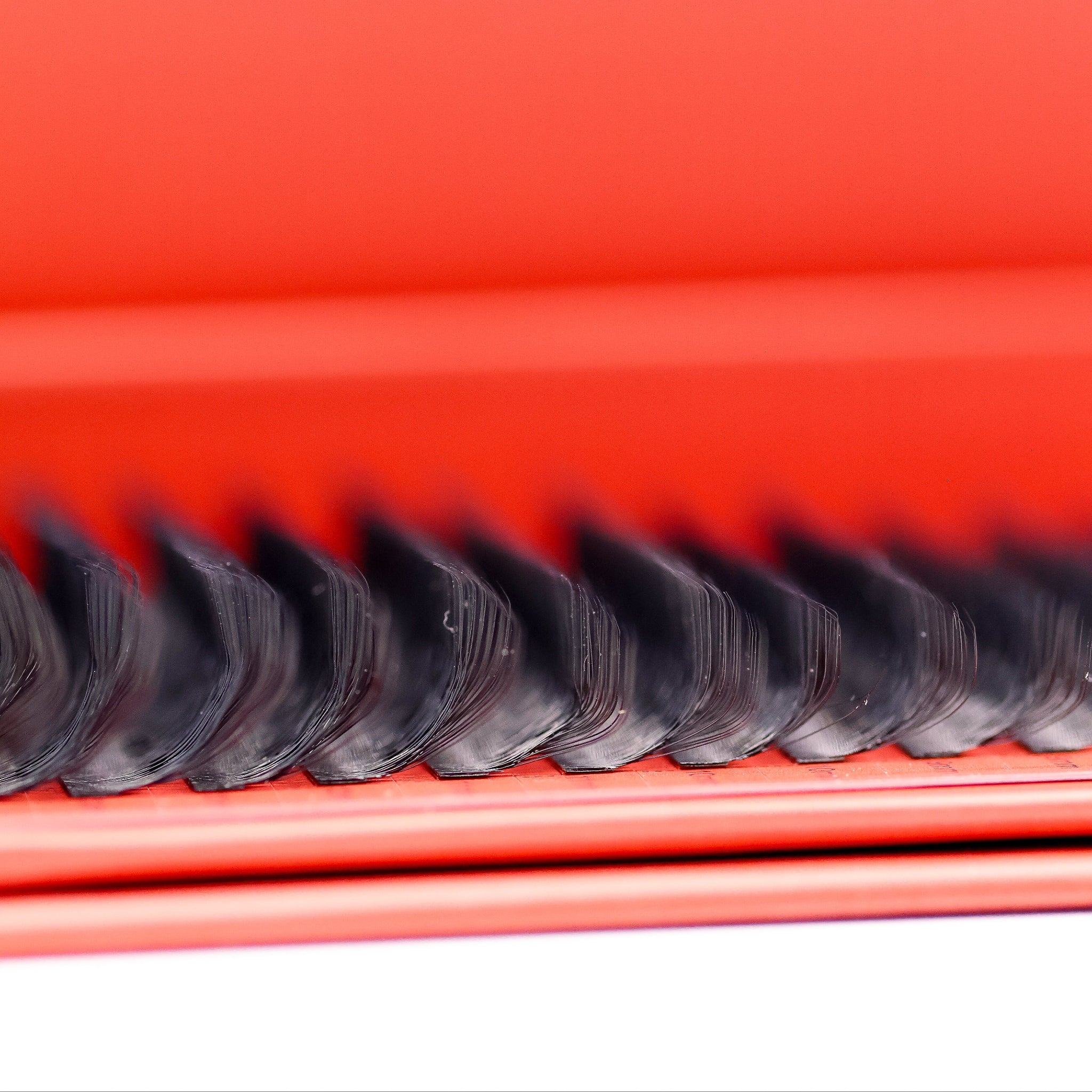 Close-up of Ladybug Lashes 10D Clover lash bases showing dense curl structure and skinny bases against red box