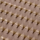 Close-up of Ladybug Lashes Platinum Brown Promade fans showing warm brown curl definition and skinny bases from above