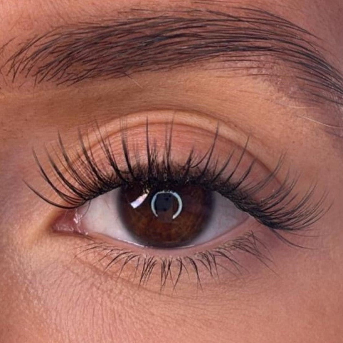 Lash Ribbons Codee DIY Lash Clusters – product image 2