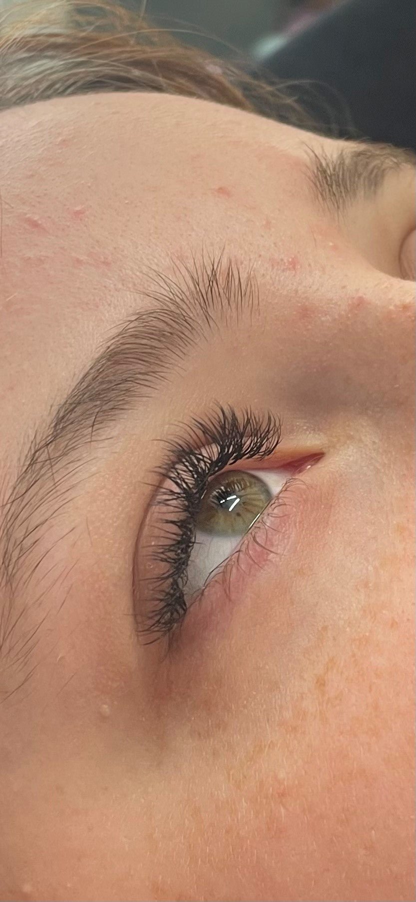 ladybuglashes lashglue lashtrays lashadhesive glueretention cloverlashes wlashes yylashes premades promades lashes