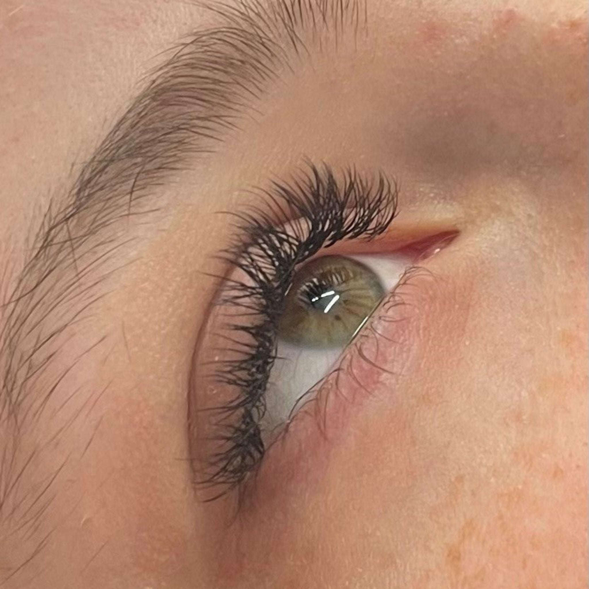 ladybuglashes lashglue lashtrays lashadhesive glueretention cloverlashes wlashes yylashes premades promades lashes