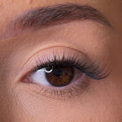 Lash Ribbons Dee Pre-Glued Lash Clusters – product image 2