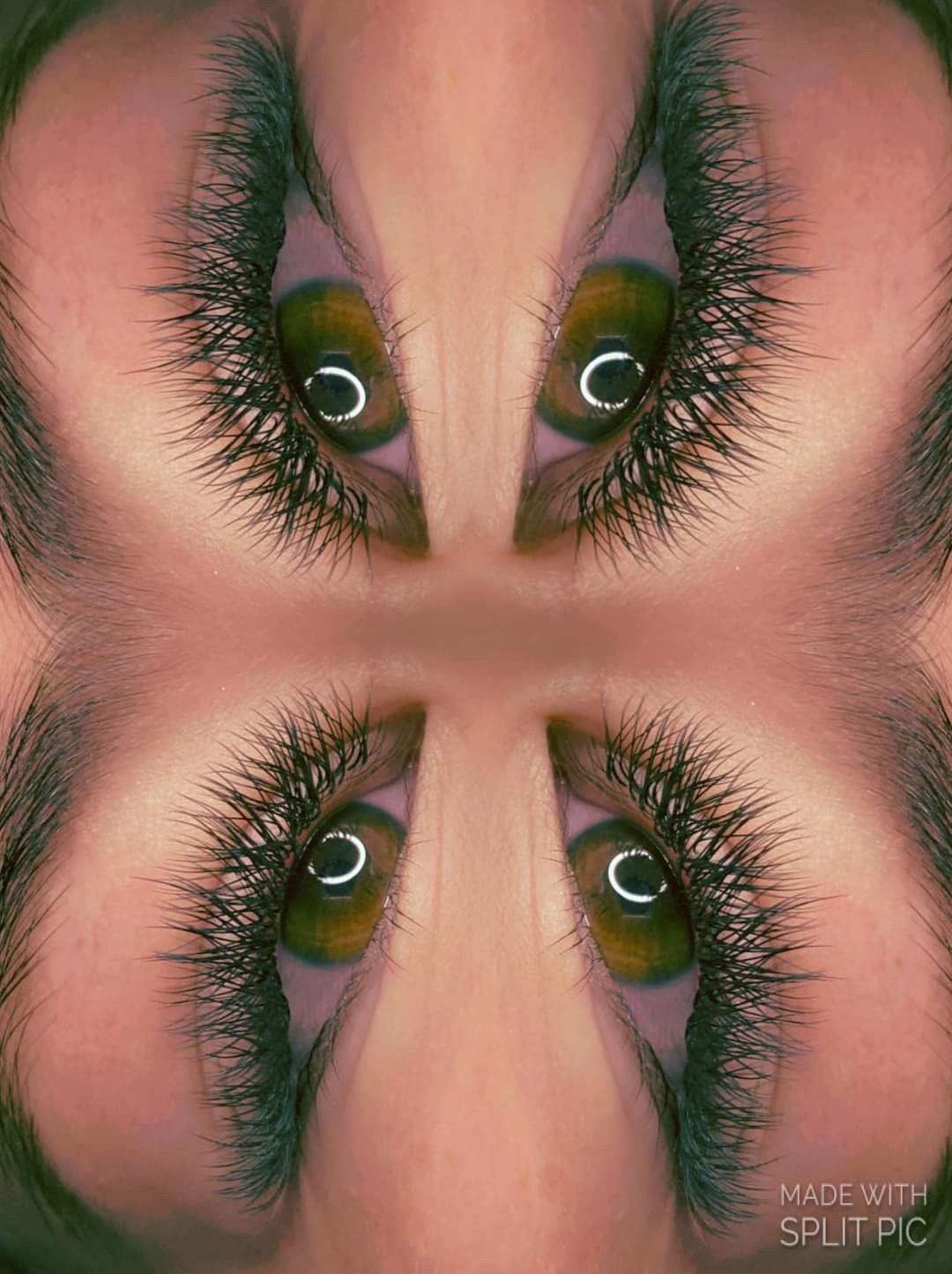 ladybuglashes lashglue lashtrays lashadhesive glueretention cloverlashes wlashes yylashes premades promades lashes