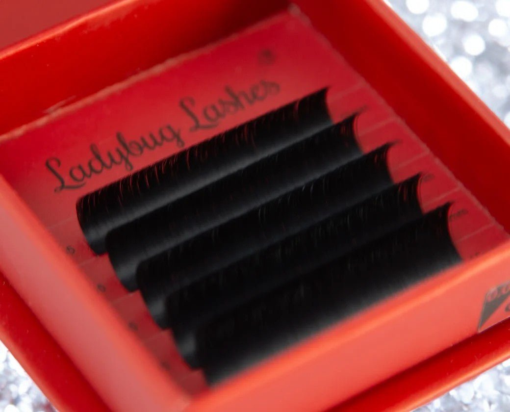 ladybuglashes lashglue lashtrays lashadhesive glueretention cloverlashes wlashes yylashes premades promades lashes