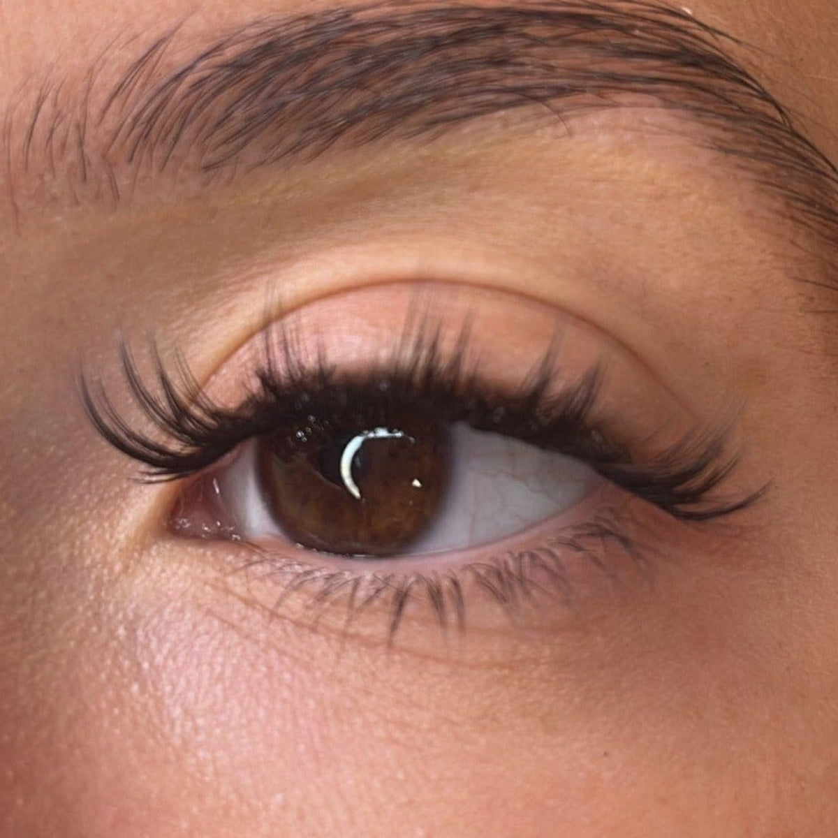 Lash Ribbons Elvie 3D 'D' Curl DIY Lash Clusters – product image 3