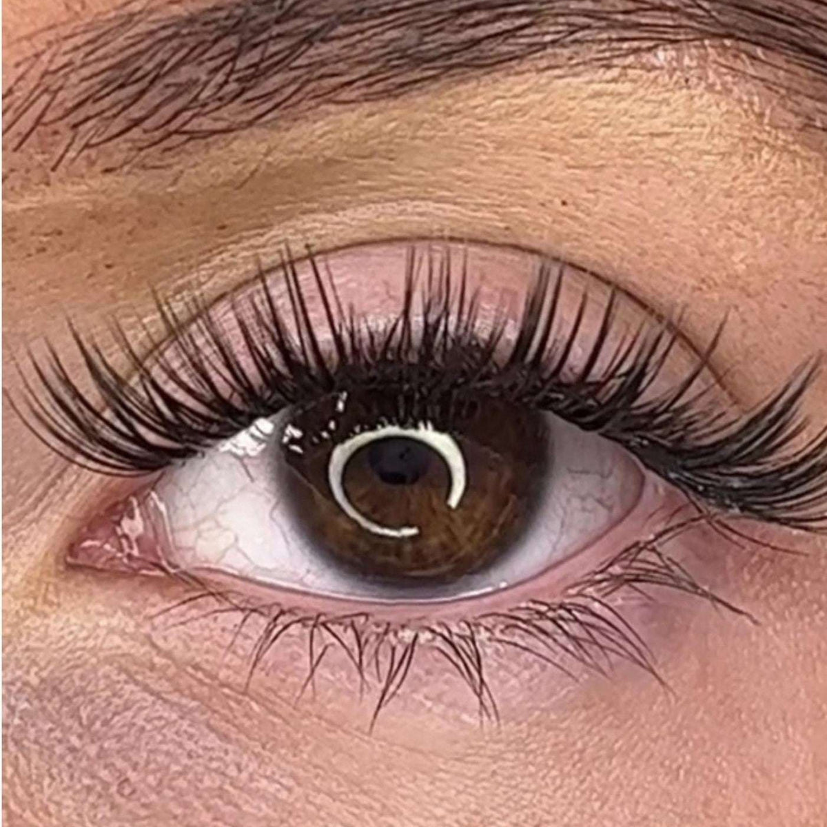 Lash Ribbons Erin DIY Lash Clusters – product image 2