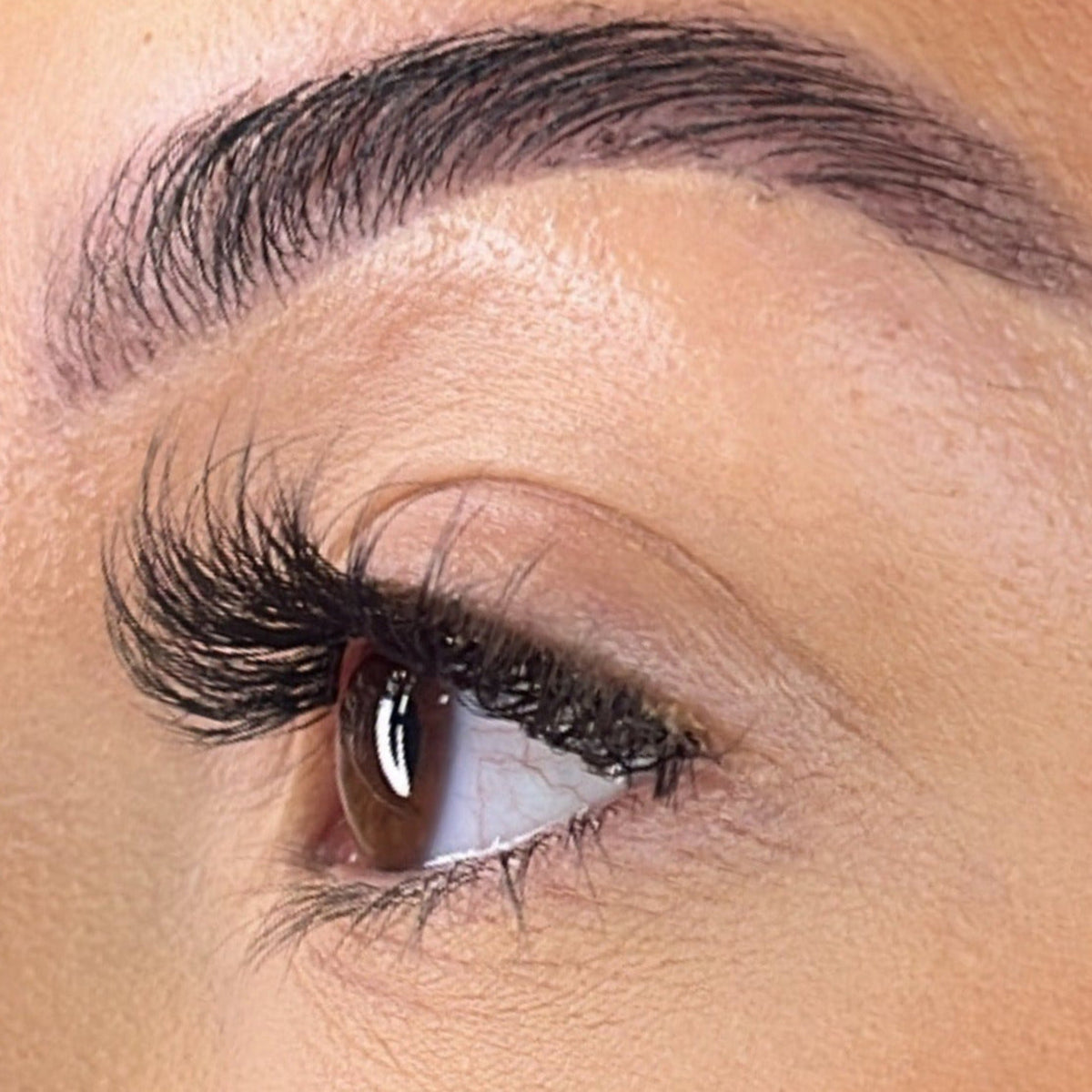 Lash Ribbons Ava Pre-Glued DIY Lash Clusters – product image 4
