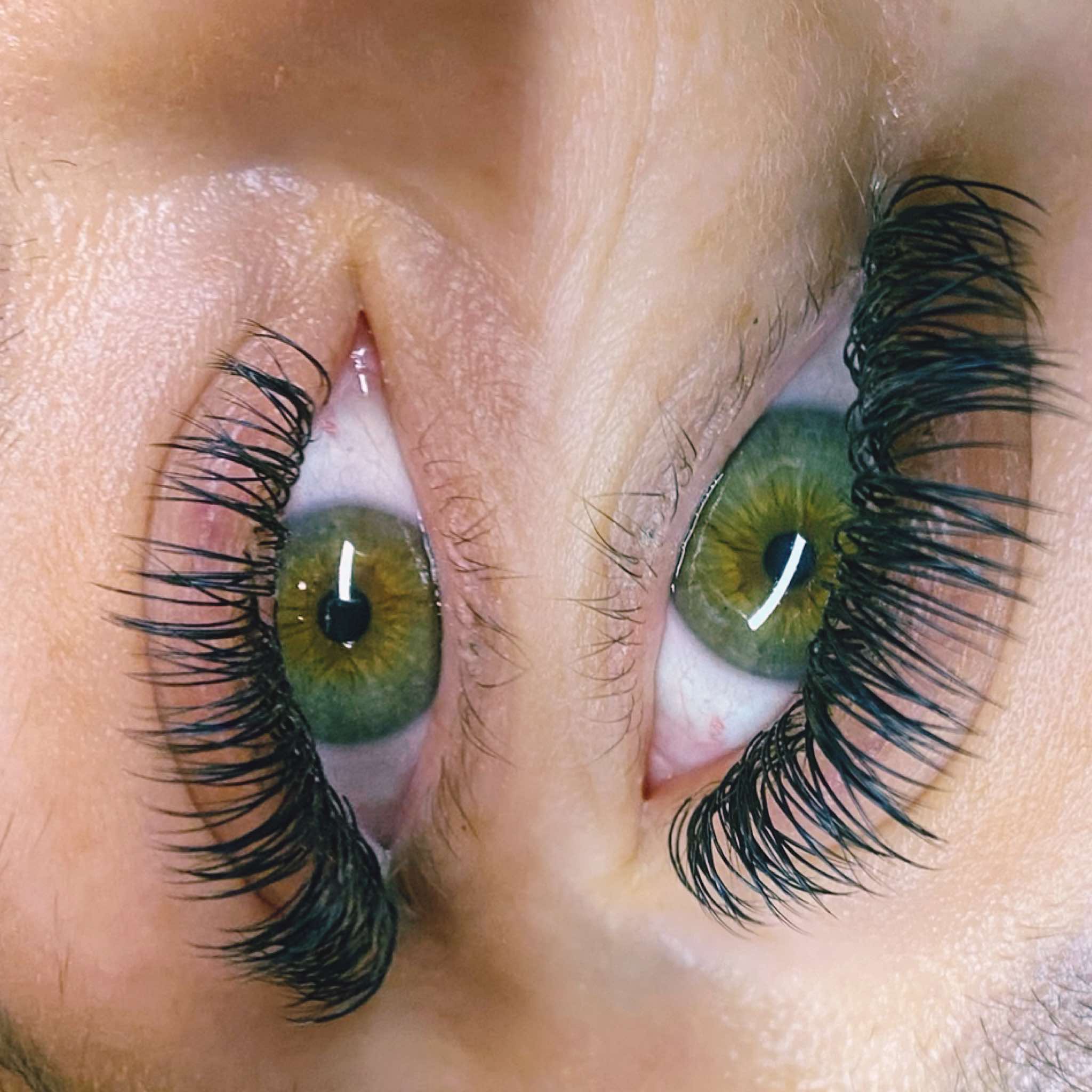 ladybuglashes lashglue lashtrays lashadhesive glueretention cloverlashes wlashes yylashes premades promades lashes