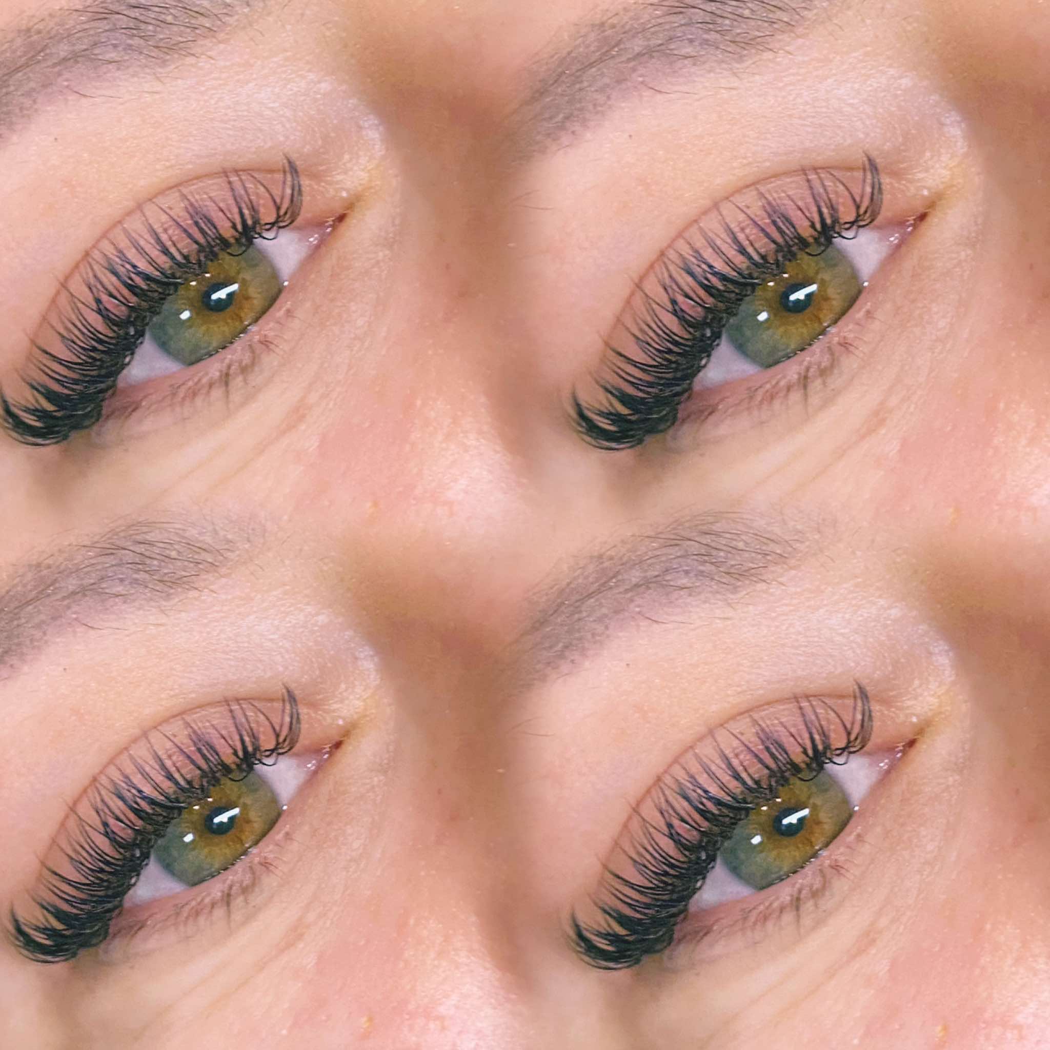 ladybuglashes lashglue lashtrays lashadhesive glueretention cloverlashes wlashes yylashes premades promades lashes