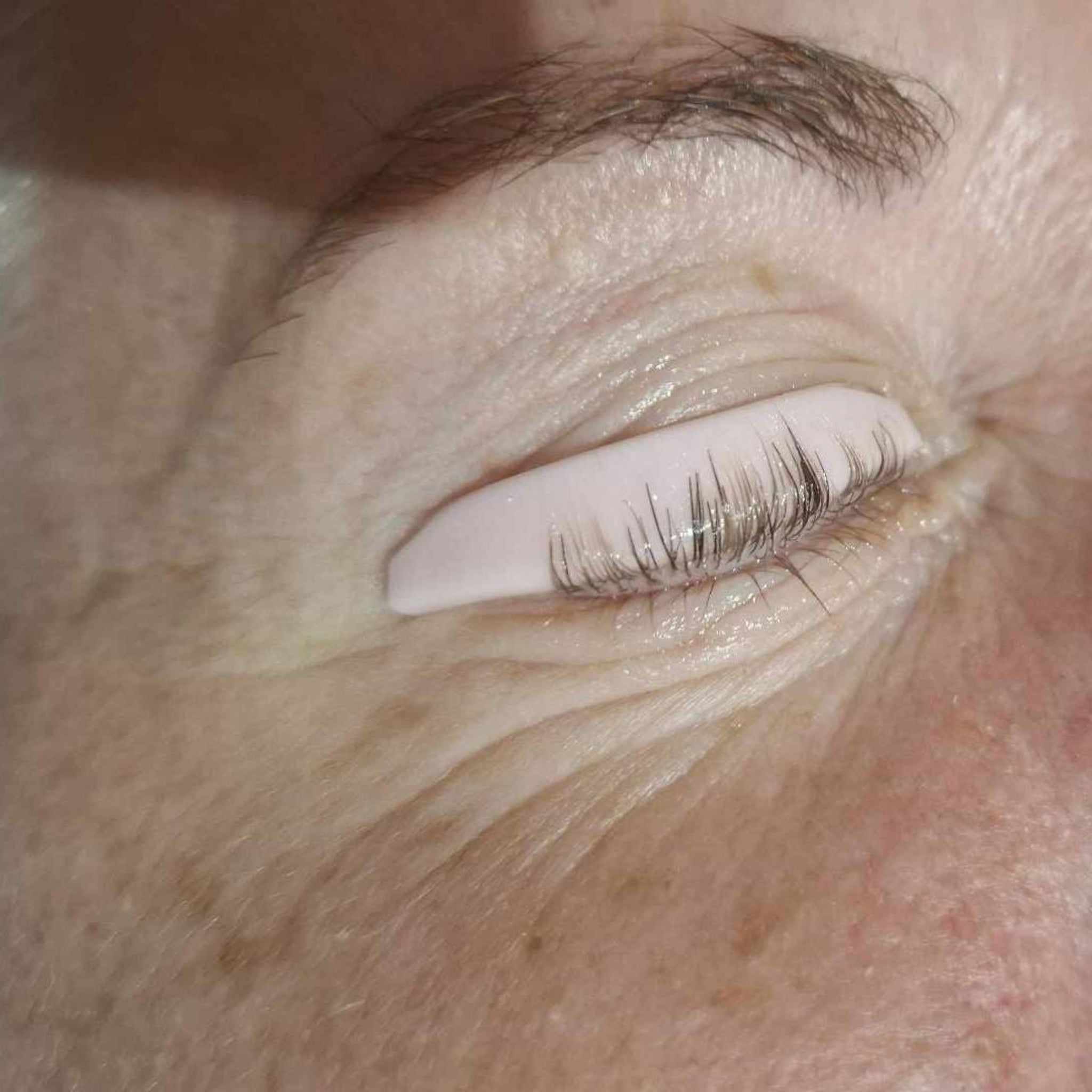 ladybuglashes lashglue lashtrays lashadhesive glueretention cloverlashes wlashes yylashes premades promades lashes