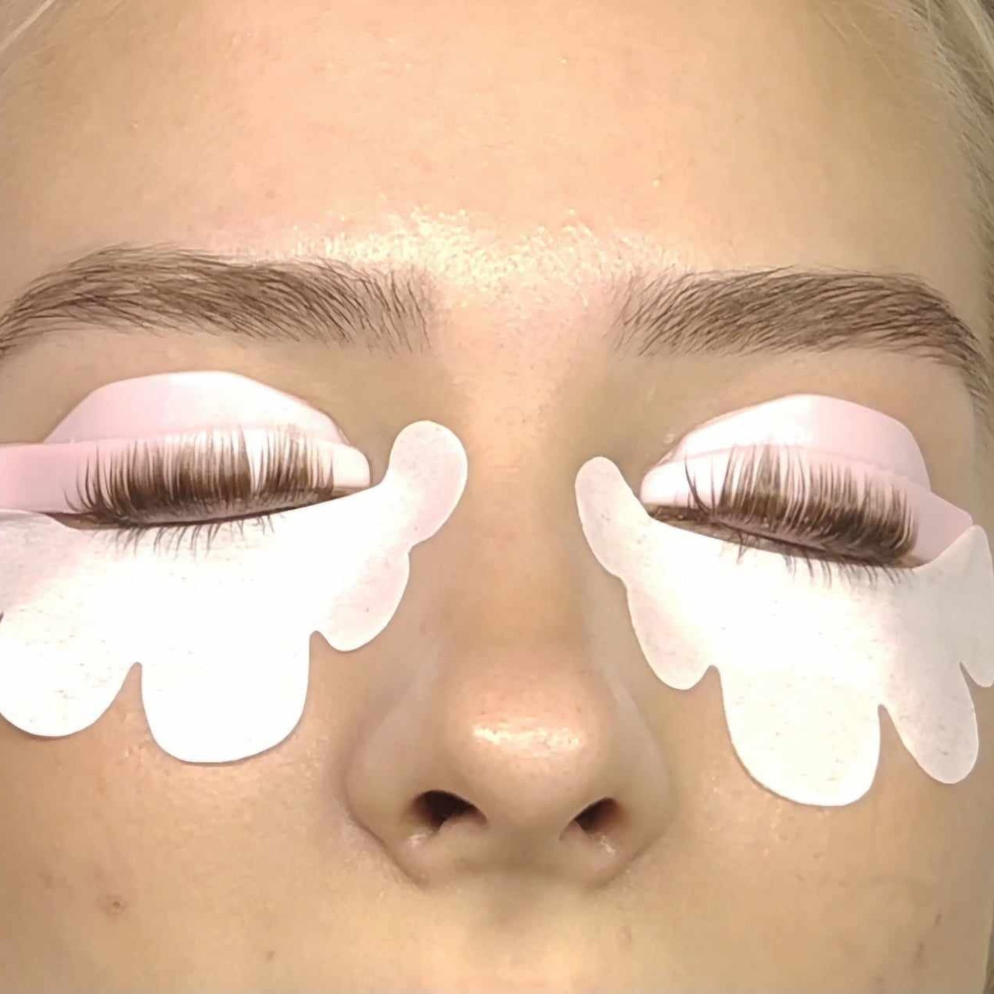 ladybuglashes lashglue lashtrays lashadhesive glueretention cloverlashes wlashes yylashes premades promades lashes