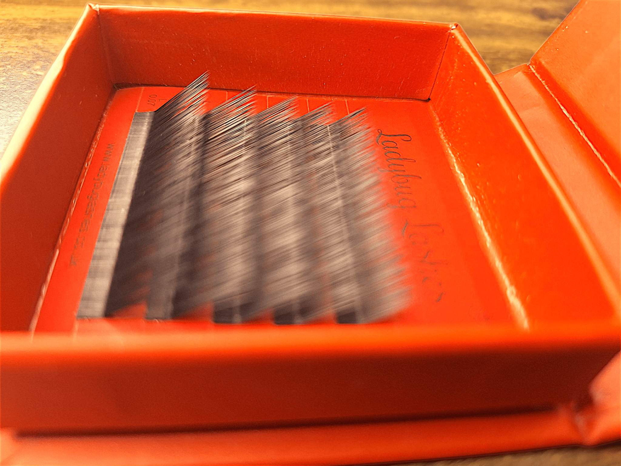 ladybuglashes lashglue lashtrays lashadhesive glueretention cloverlashes wlashes yylashes premades promades lashes